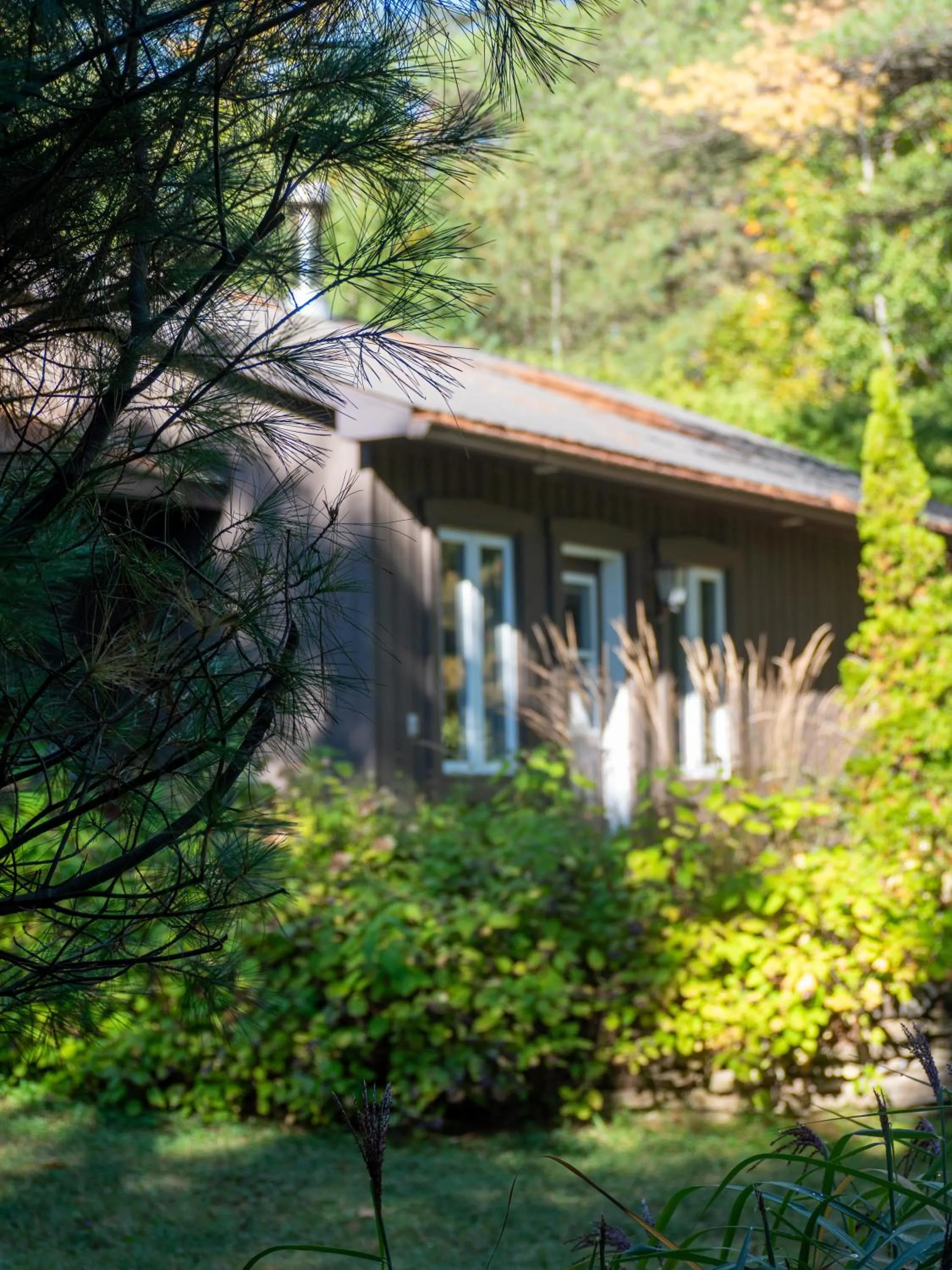 Property building in Domaine Chalets des pins