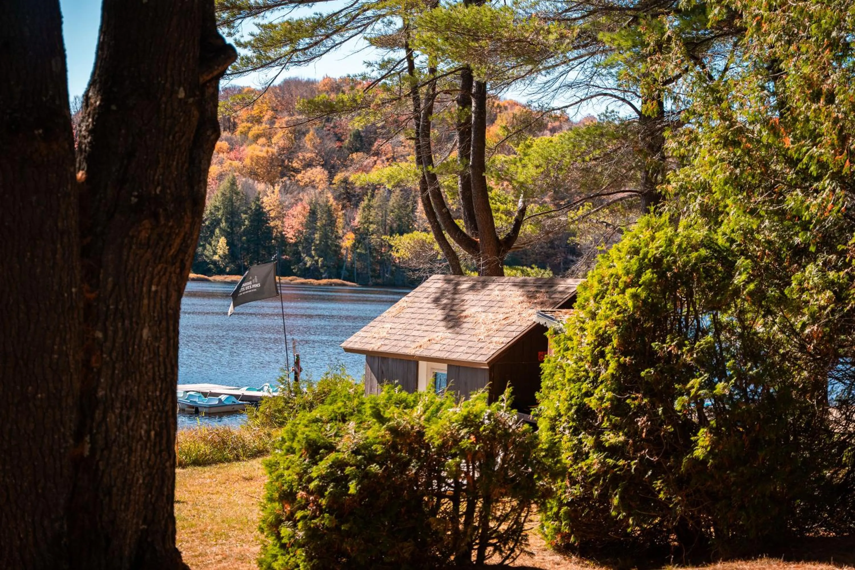 Domaine Chalets des pins