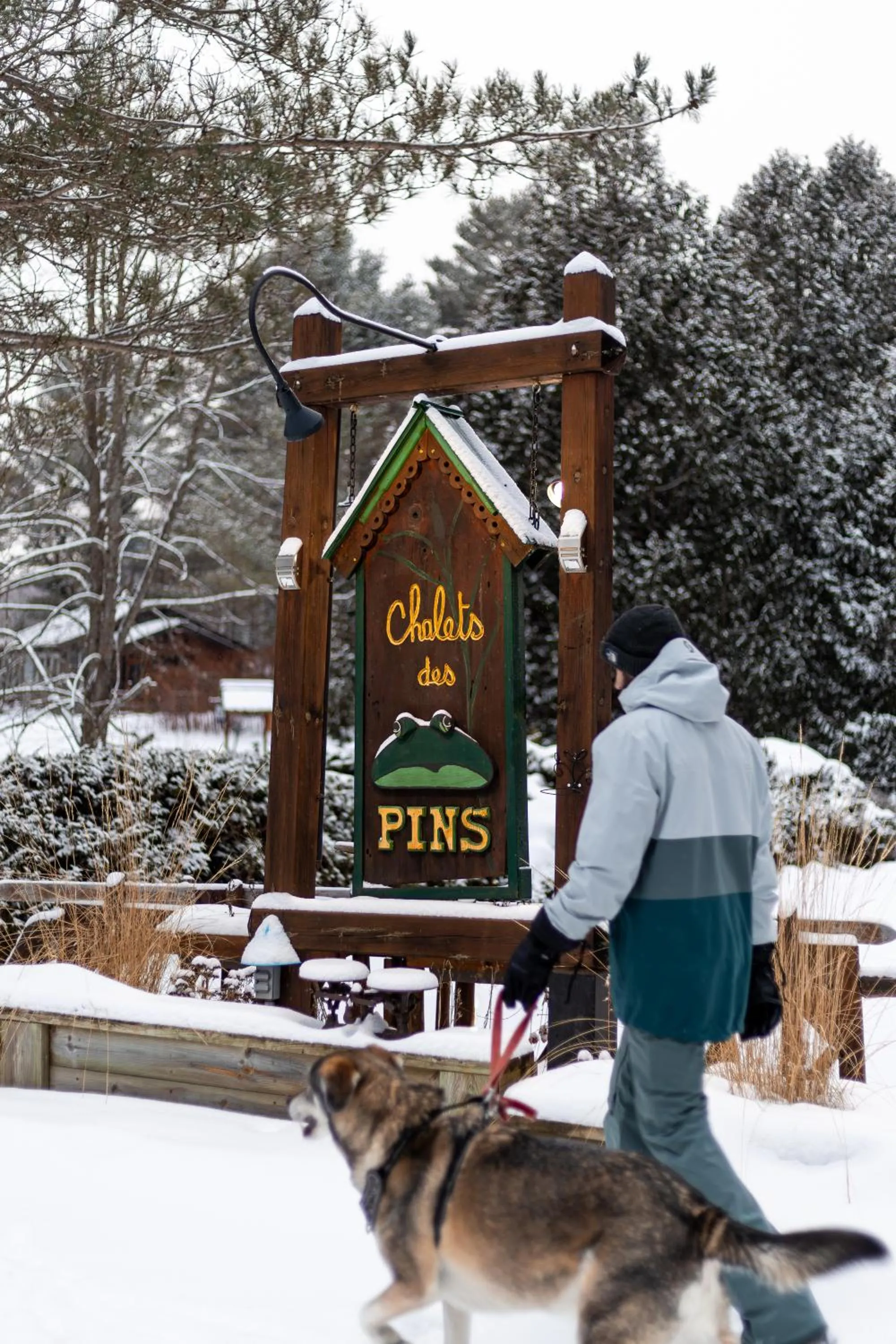 Pets in Domaine Chalets des pins