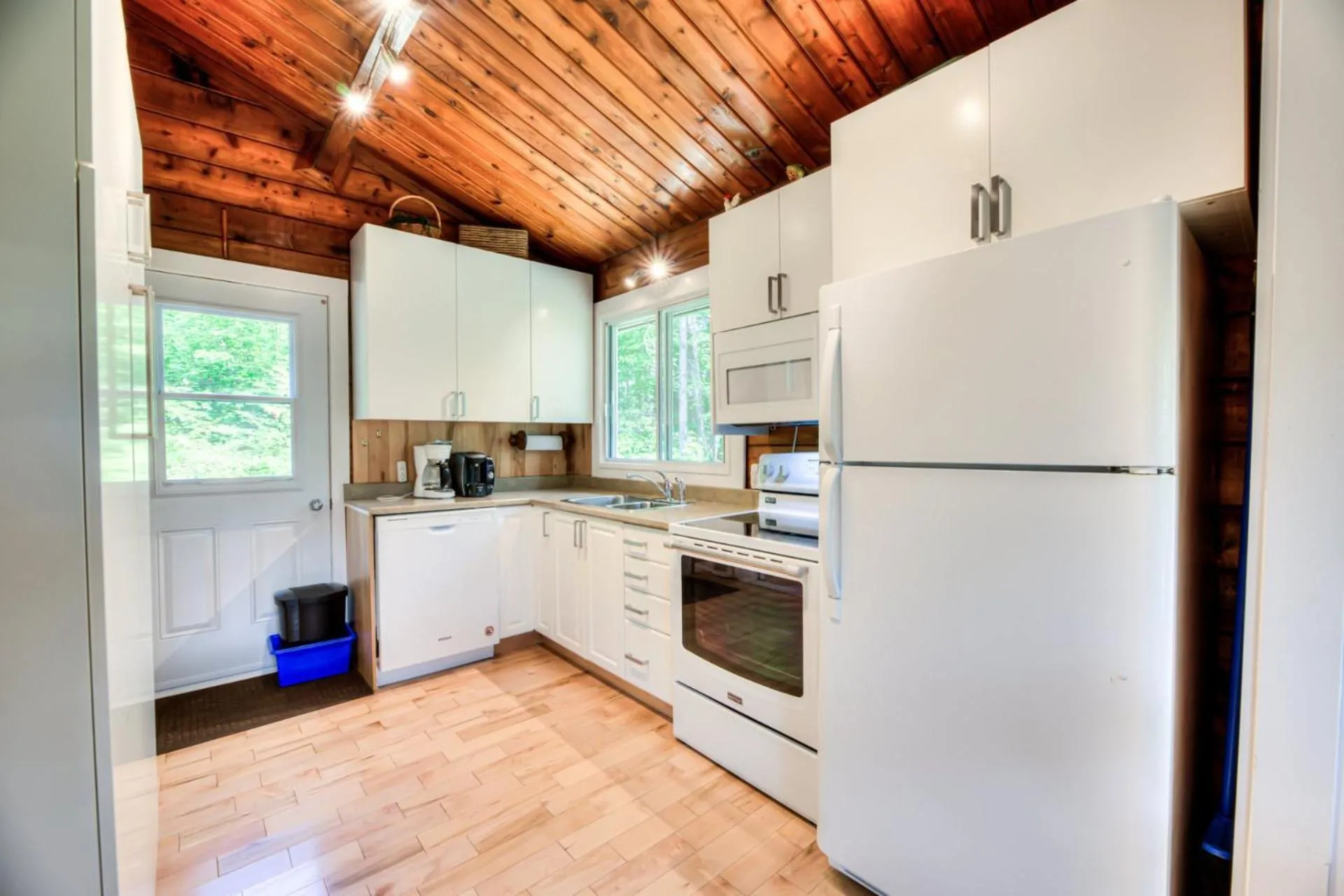 Kitchen or kitchenette in Domaine Chalets des pins