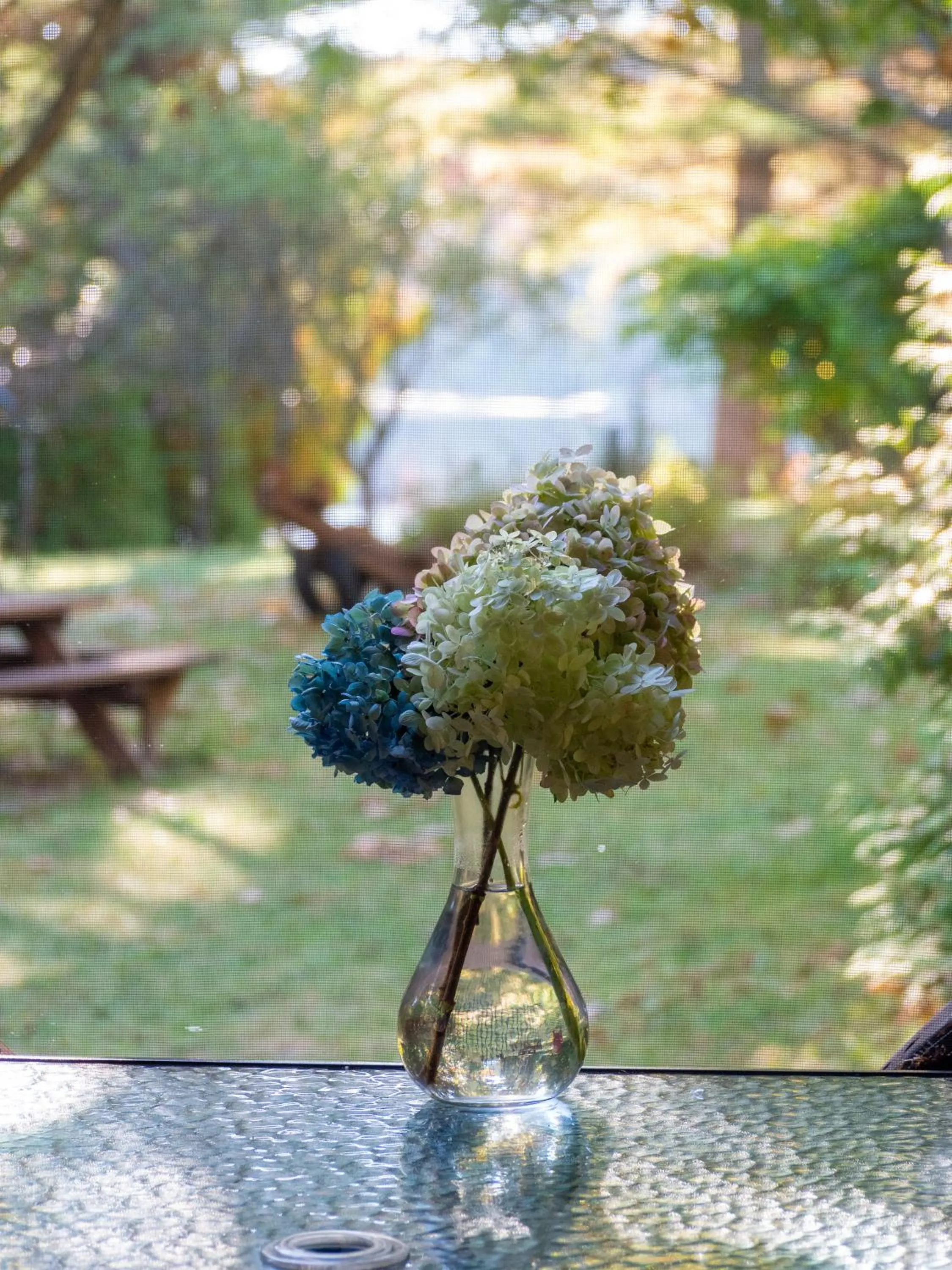Garden in Domaine Chalets des pins