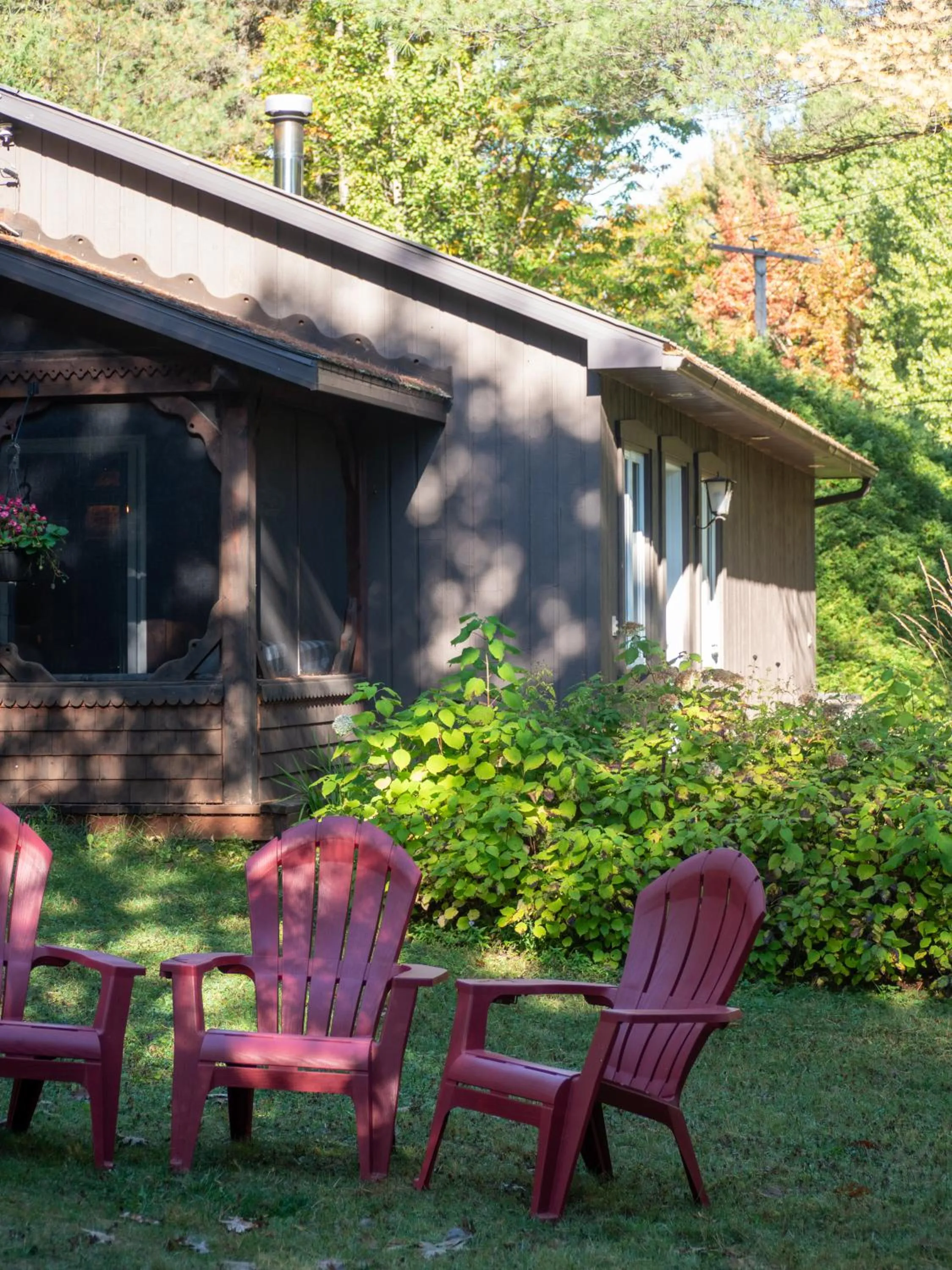 Garden view in Domaine Chalets des pins