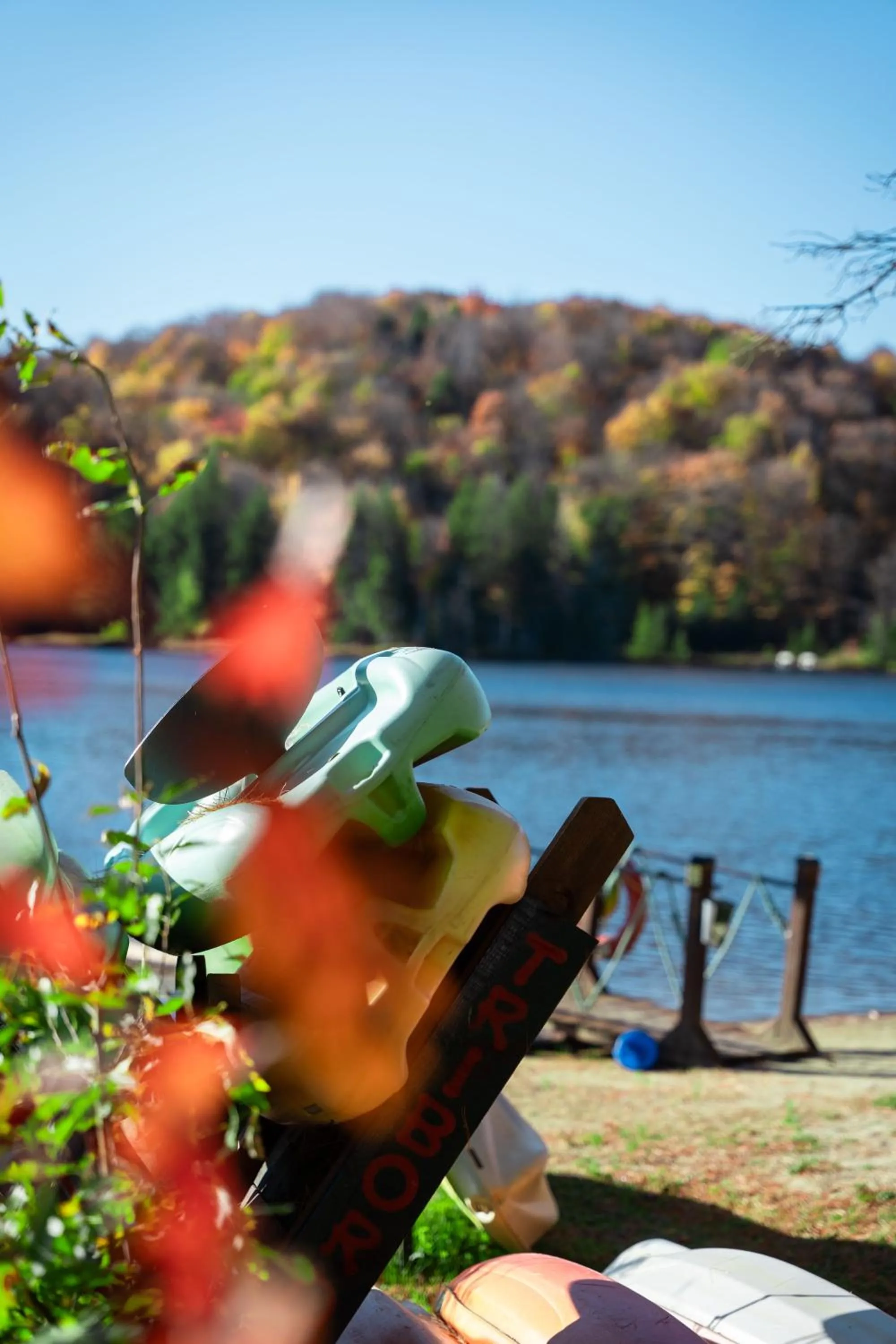 Domaine Chalets des pins