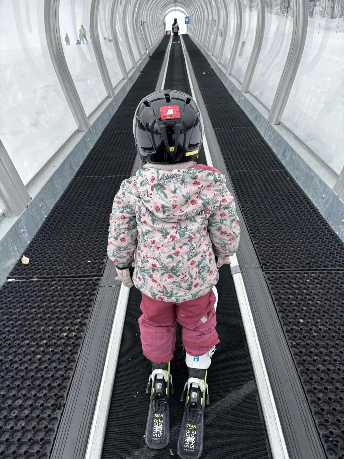 Skiing in Domaine Chalets des pins