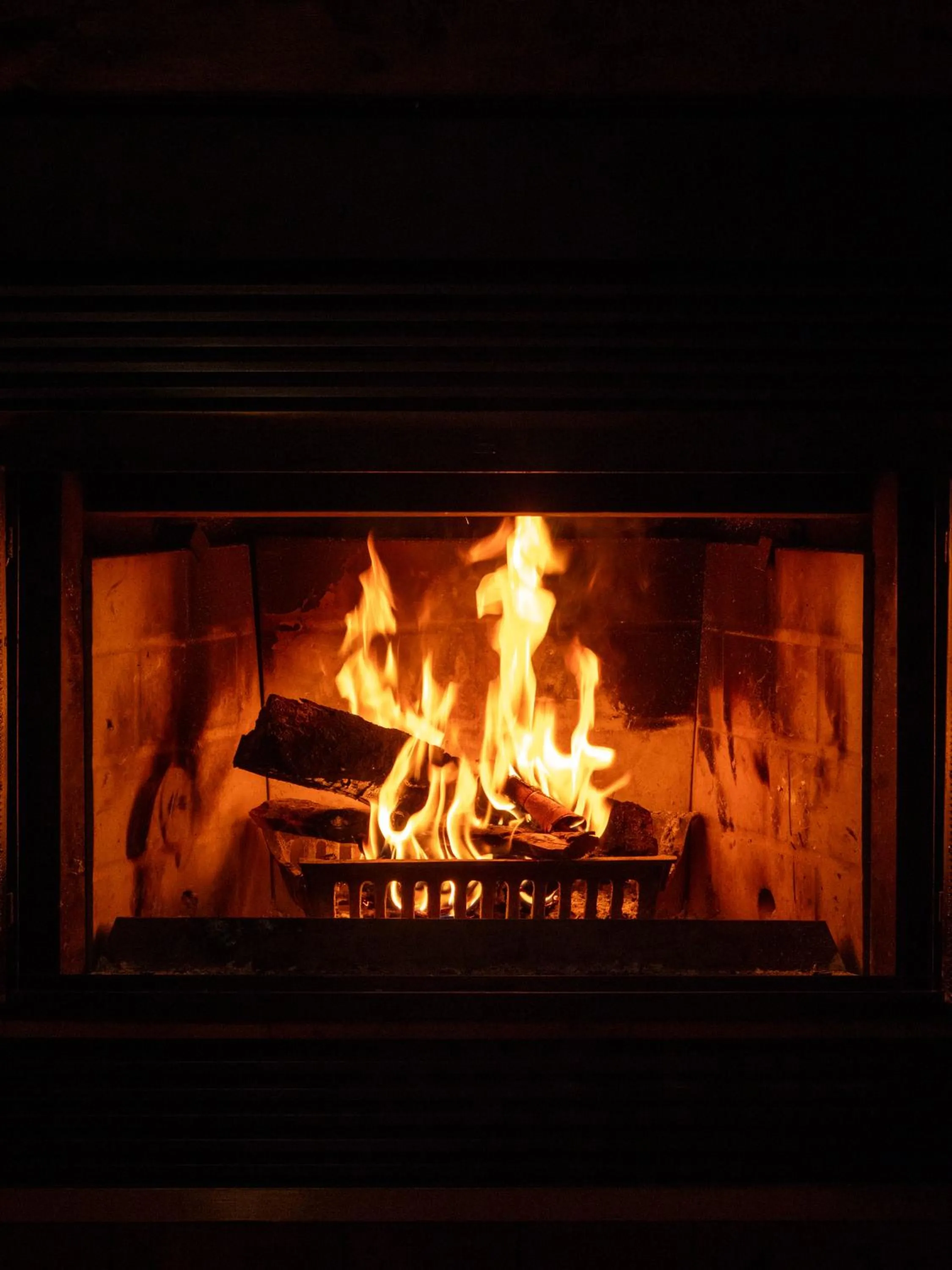 fireplace in Domaine Chalets des pins