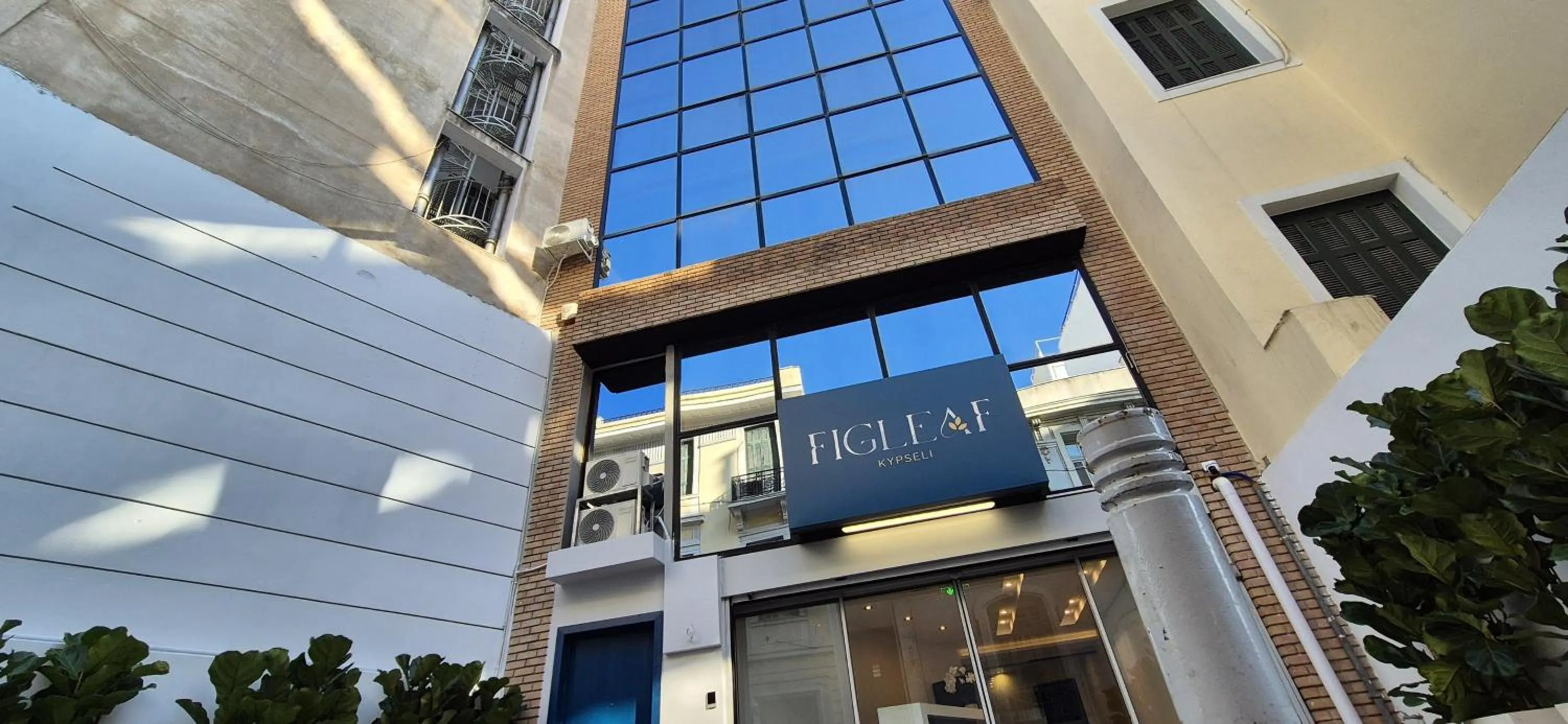 Property building in Figleaf Kypseli