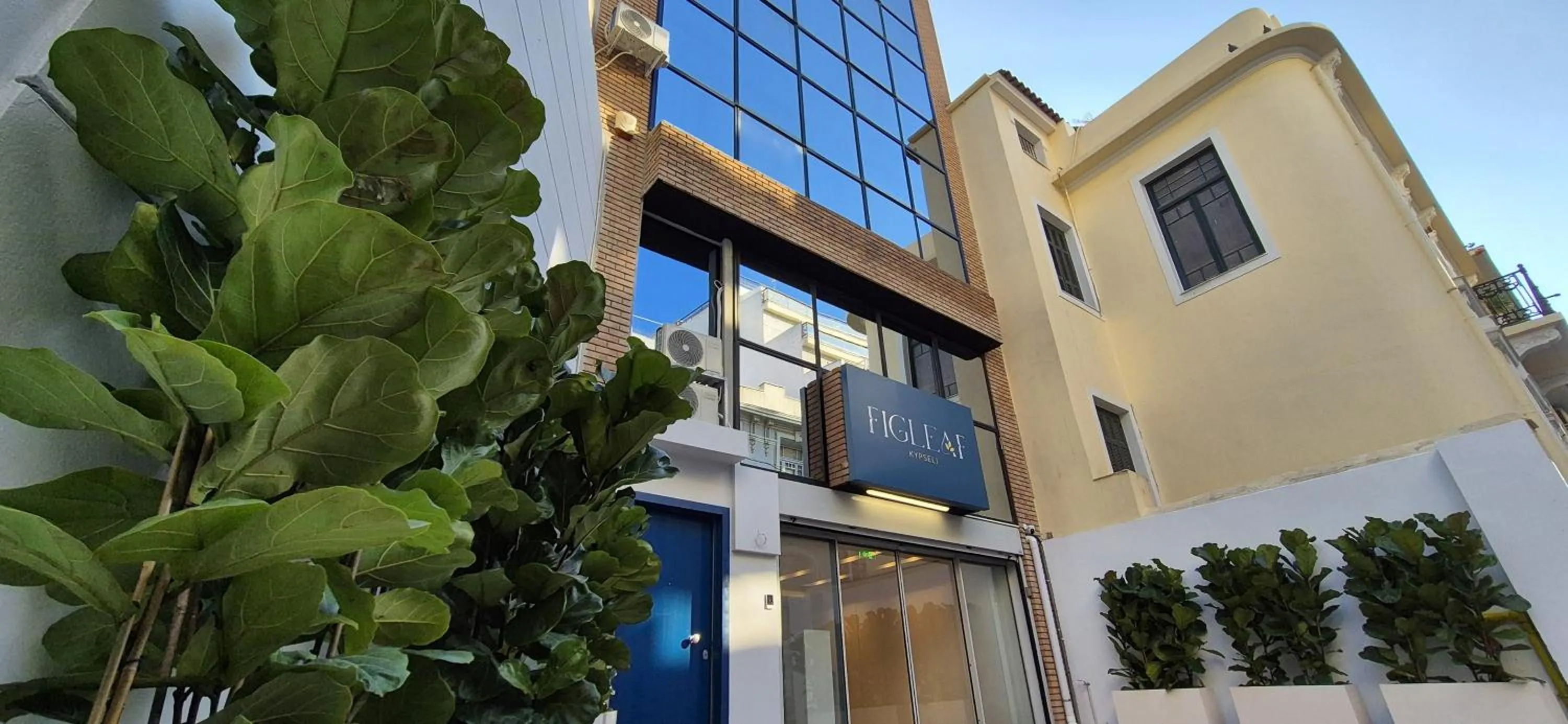 Property building in Figleaf Kypseli