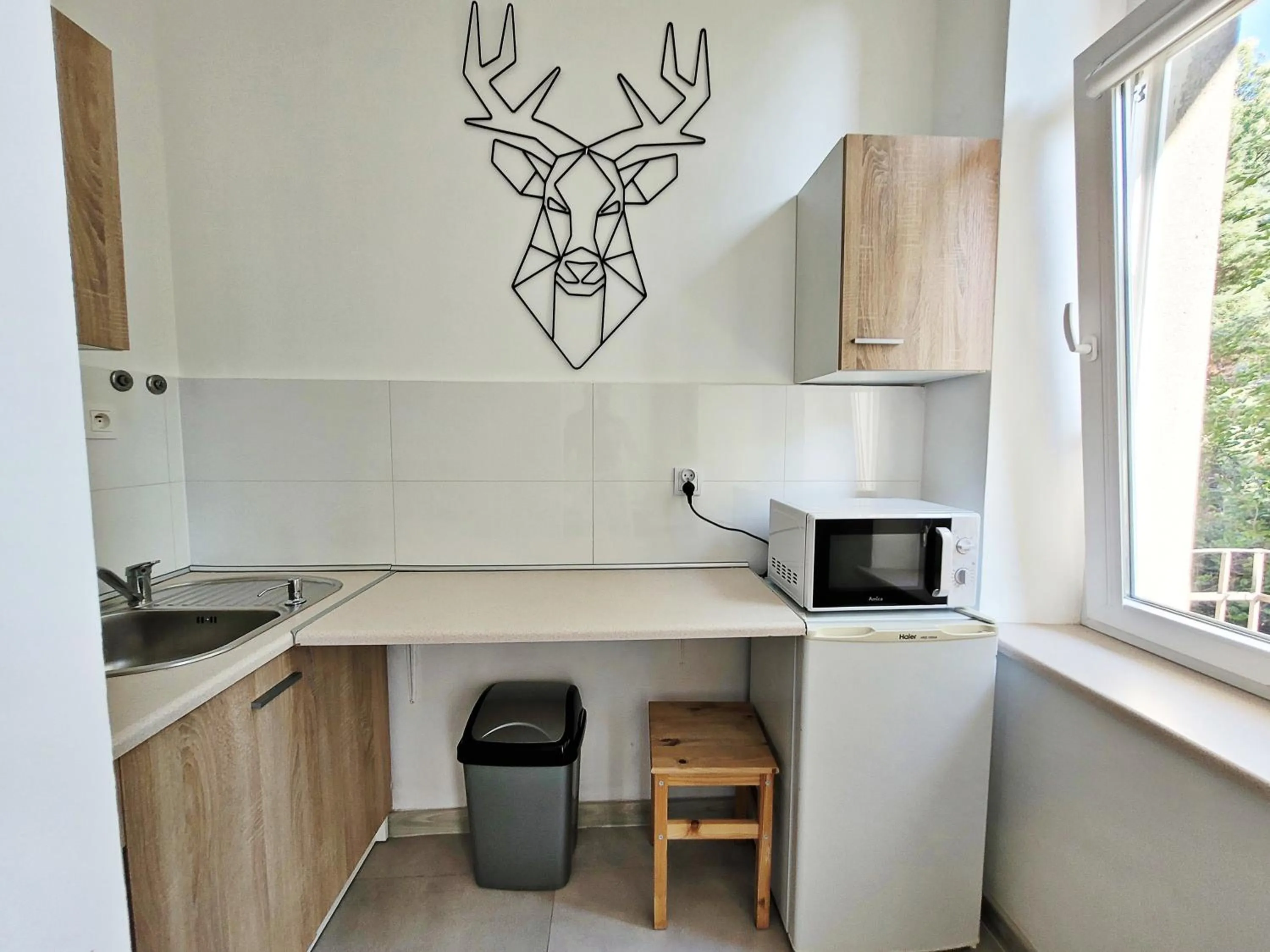 Kitchen or kitchenette in DReAM Main Station