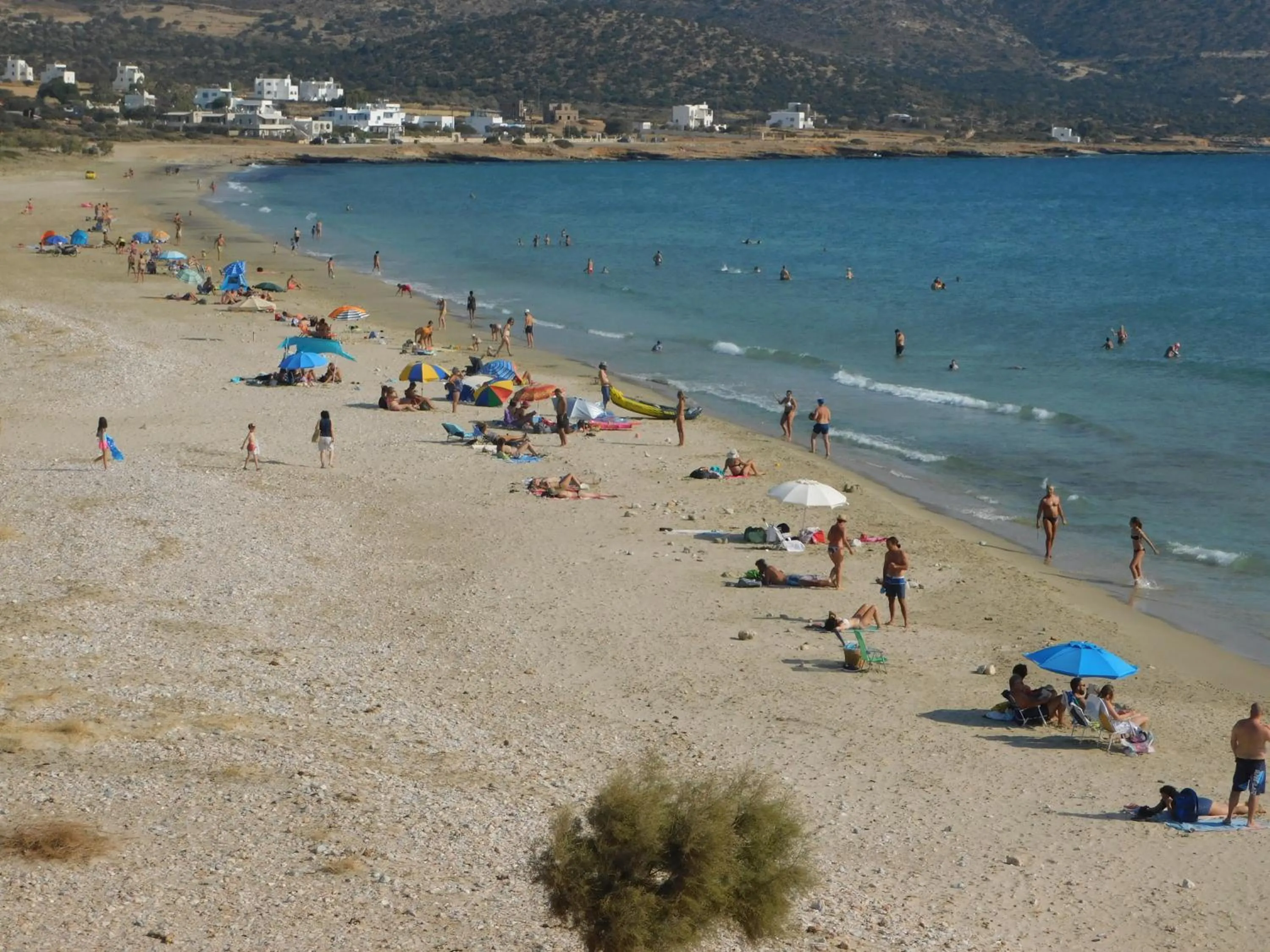 Beach in Paradise Studios