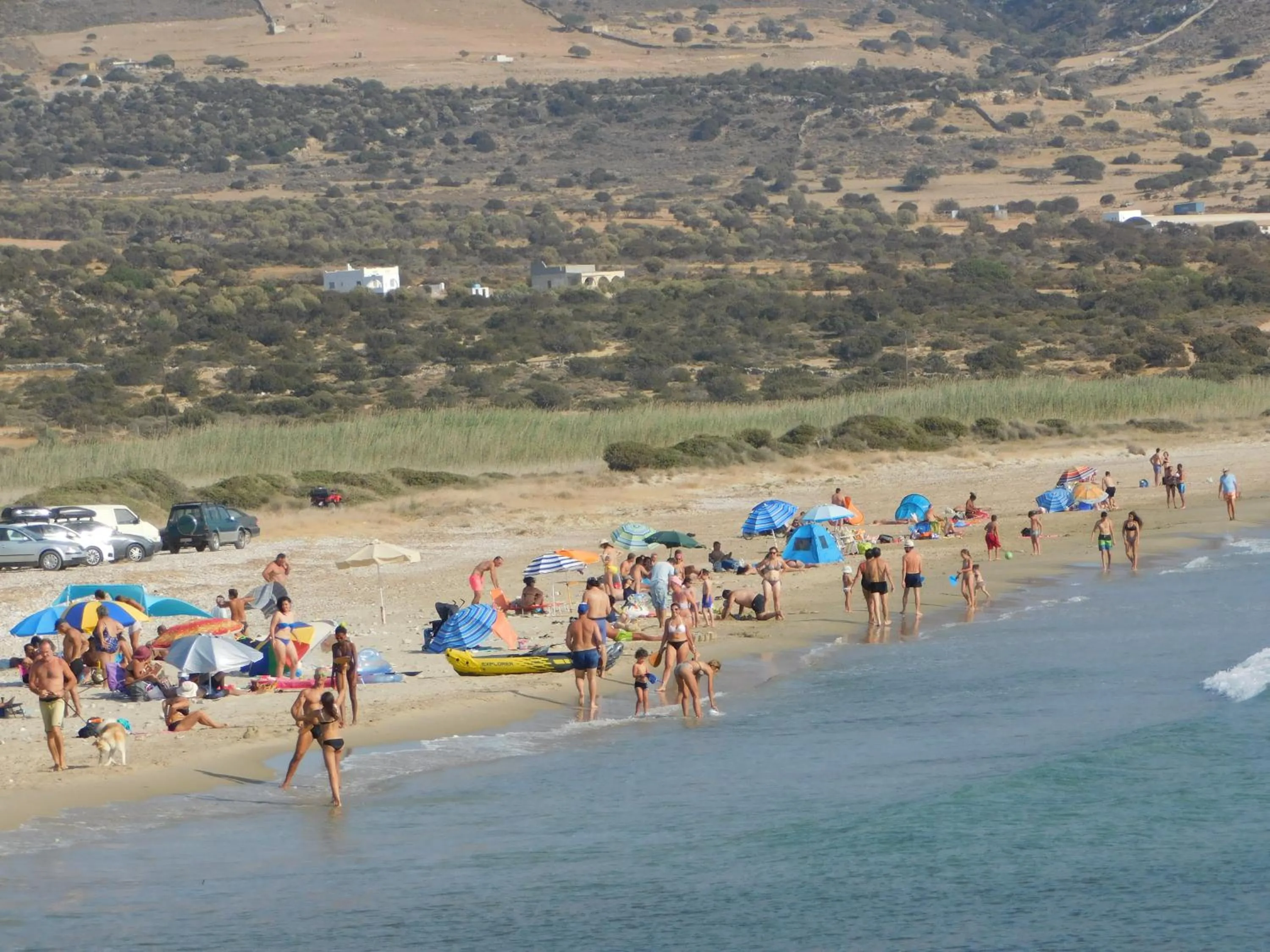 Beach in Paradise Studios