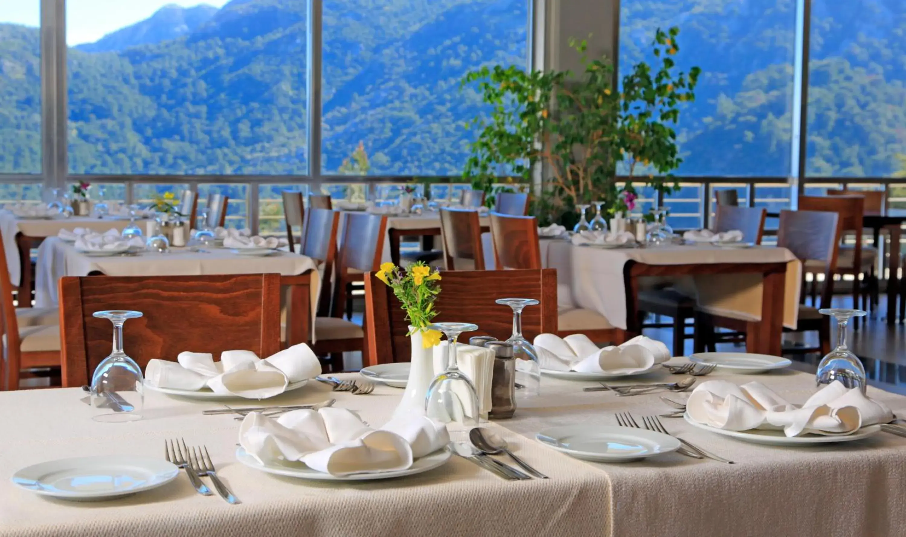 Restaurant/places to eat in Loryma Resort Hotel Restaurant/places to eat in Loryma Resort Hotel