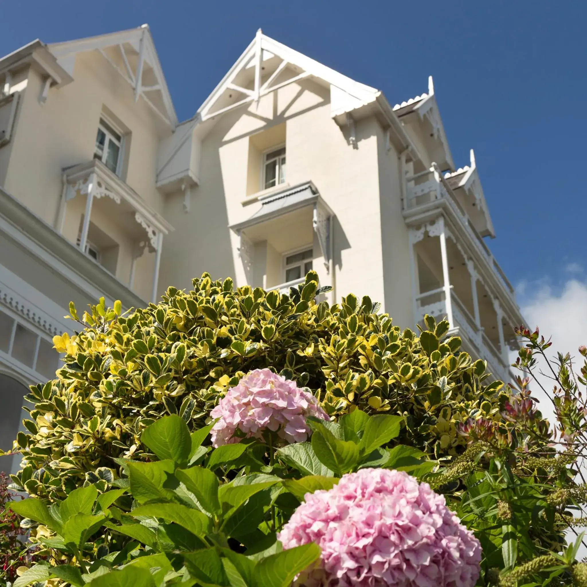 Property building in Somerville Hotel Property building in Somerville Hotel