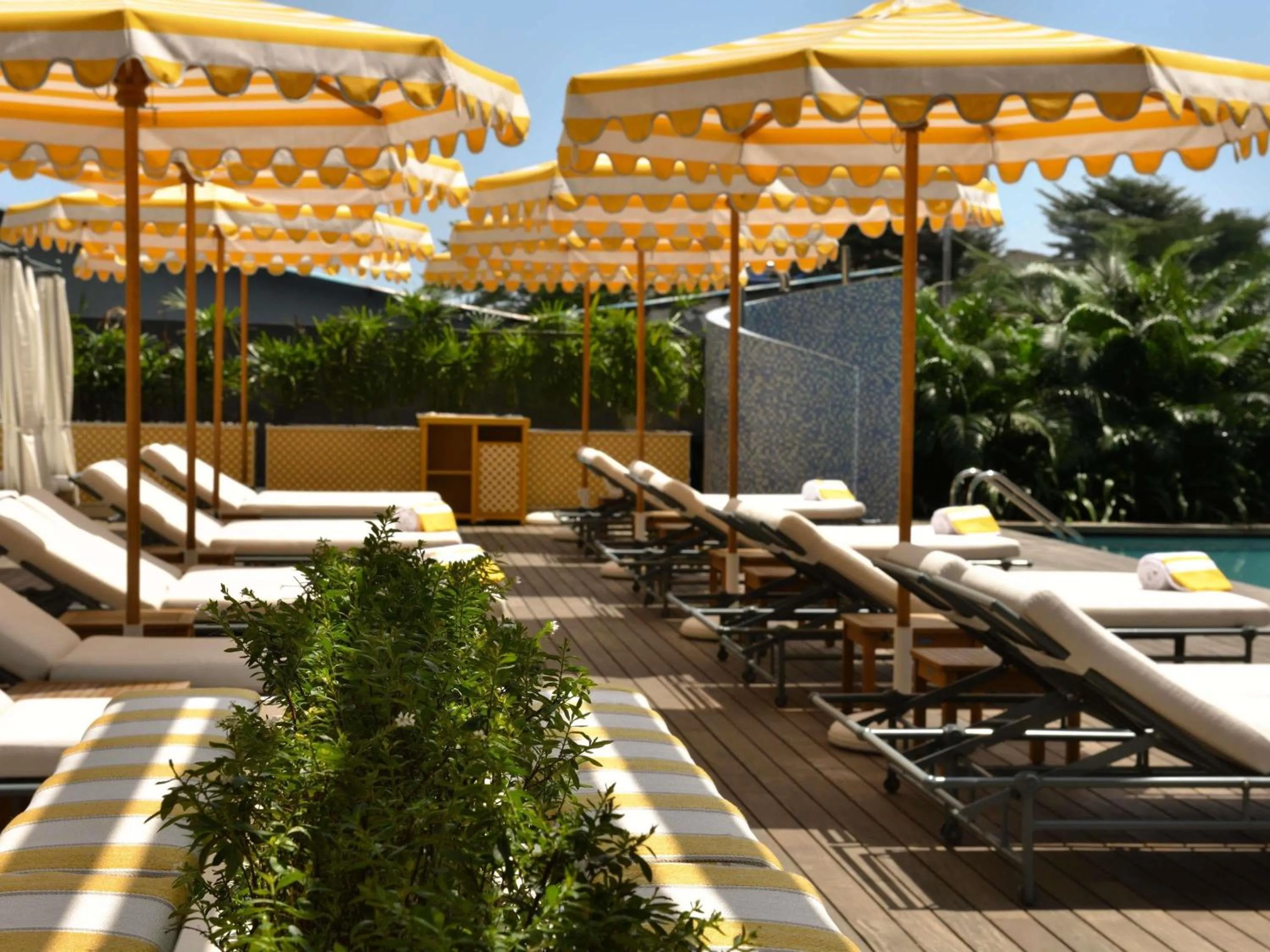 Pool view in Novotel Abidjan Marcory