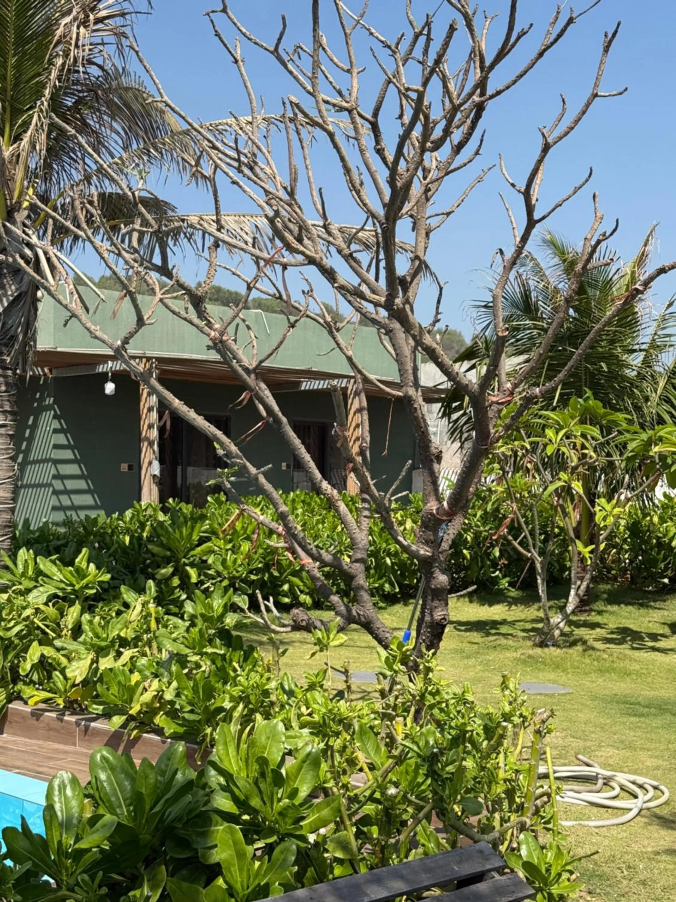 Emerald Beach Homestay