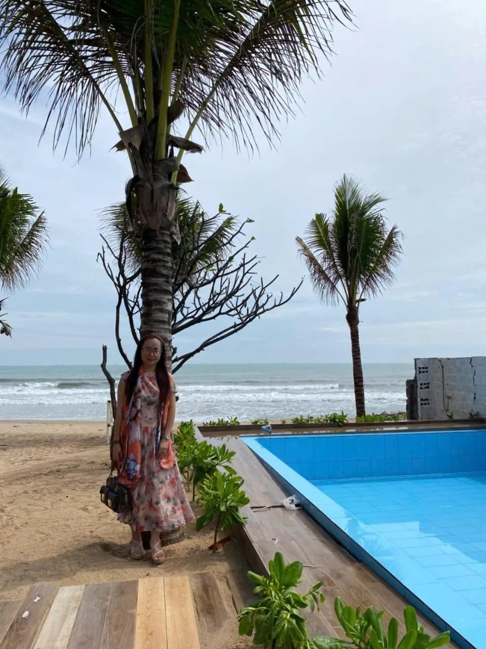 Garden in Emerald Beach Homestay