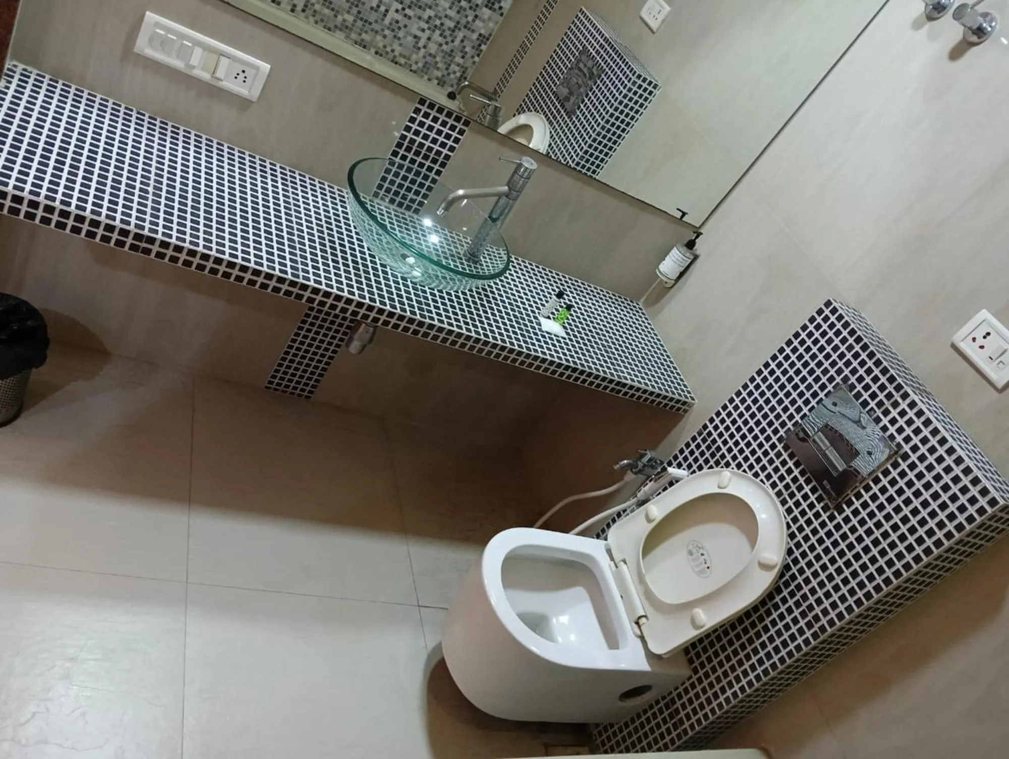 Toilet in Hotel Crown