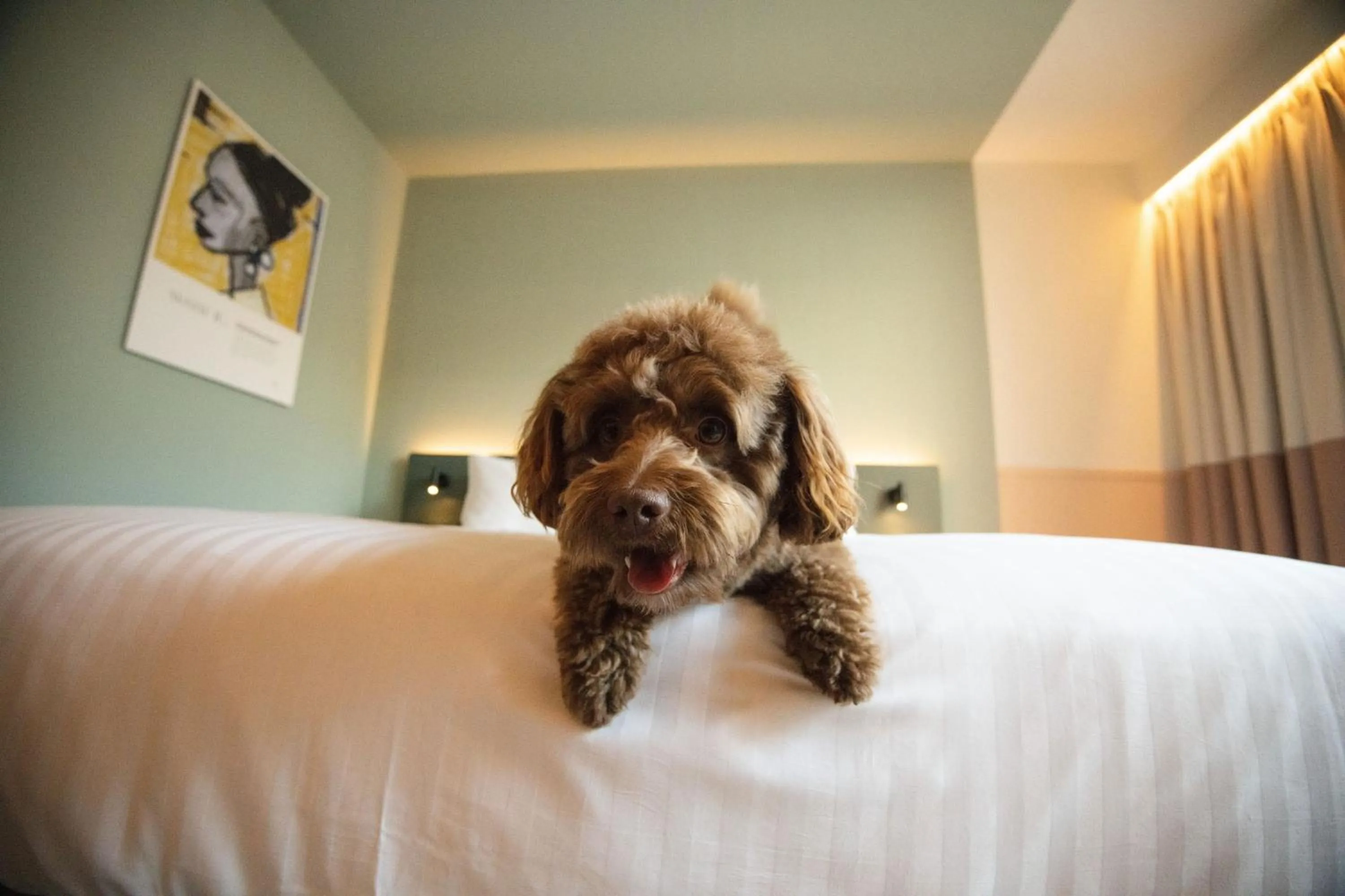 Other in The Rebyl, Nijmegen, a Tribute Portfolio Hotel