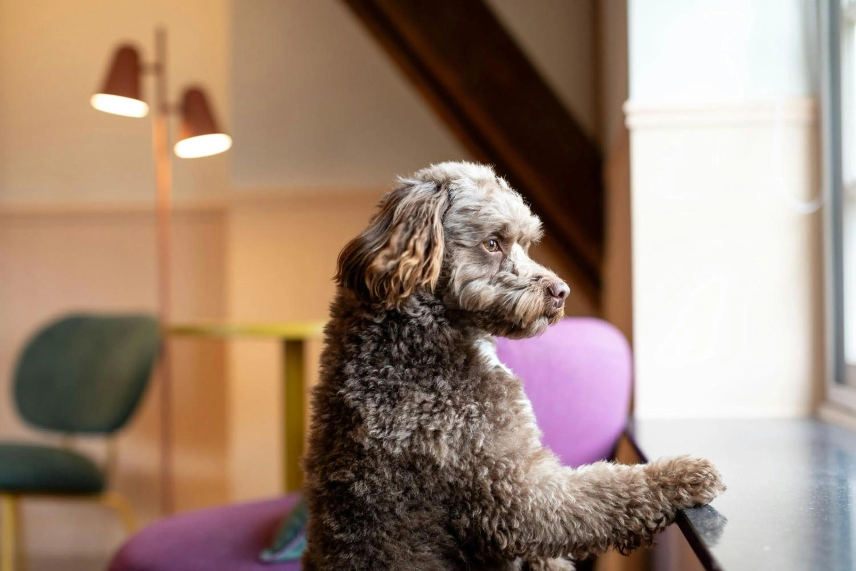 Other in The Rebyl, Nijmegen, a Tribute Portfolio Hotel