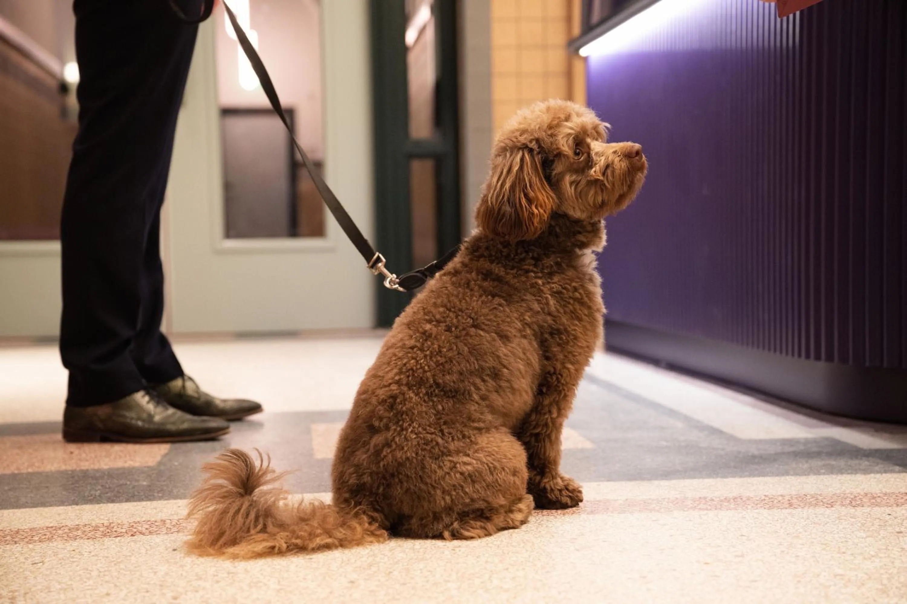Other in The Rebyl, Nijmegen, a Tribute Portfolio Hotel