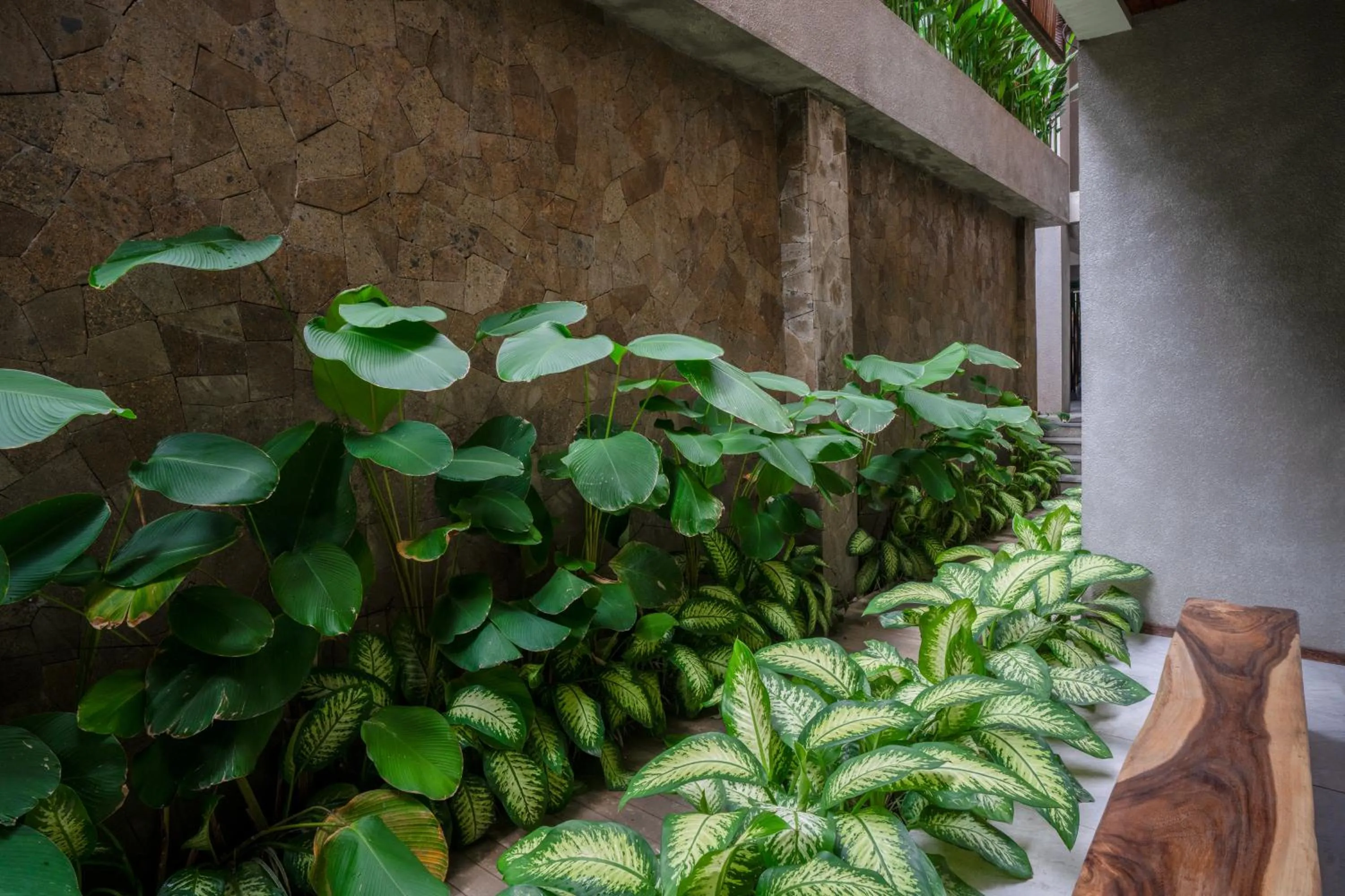 Natural landscape in KammOra Living and Villas