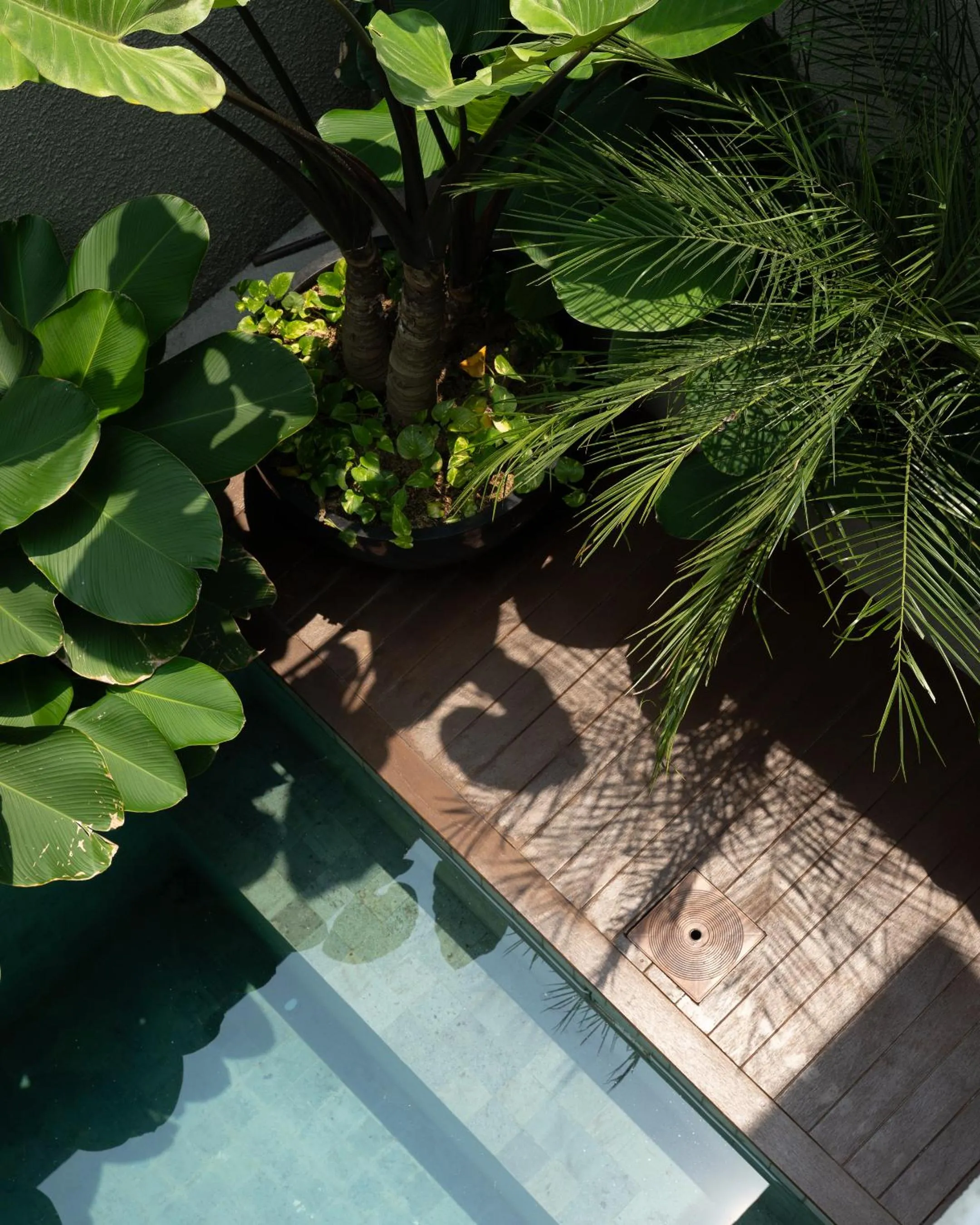 Garden in KammOra Living and Villas