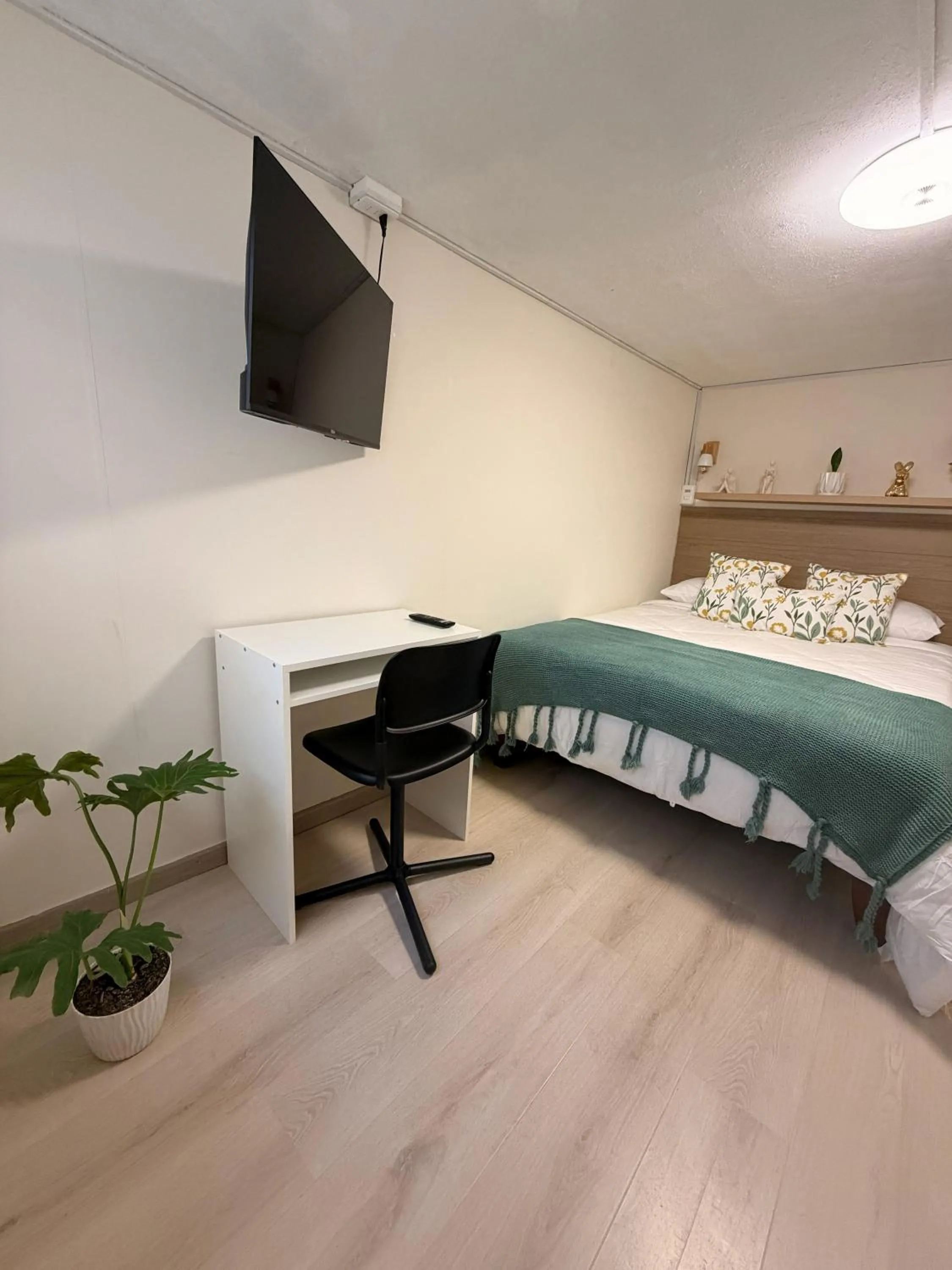 Hostal Andino
