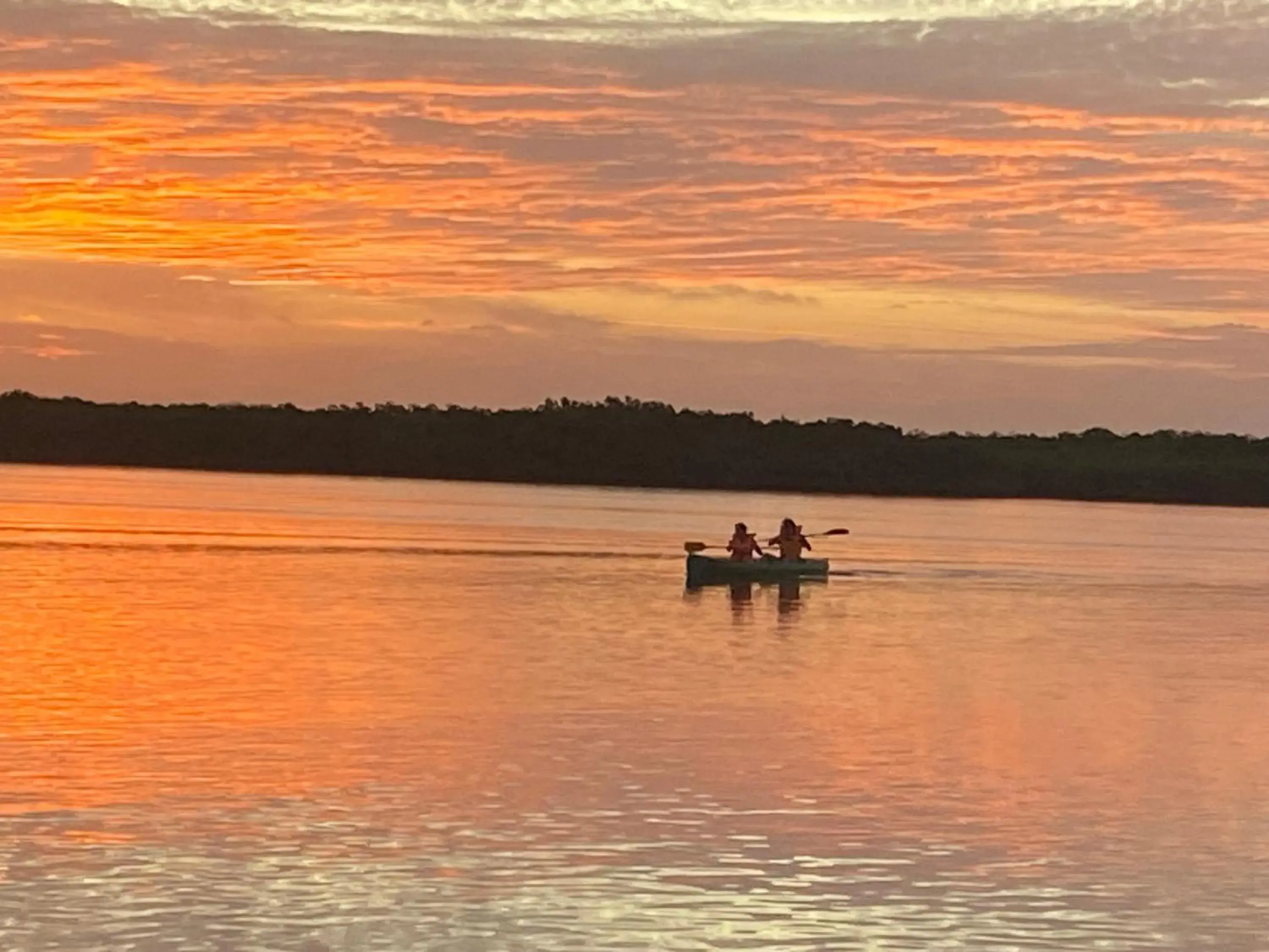 Bazouk Du Saloum Ecolodge Solidaire Bazouk Du Saloum Ecolodge Solidaire