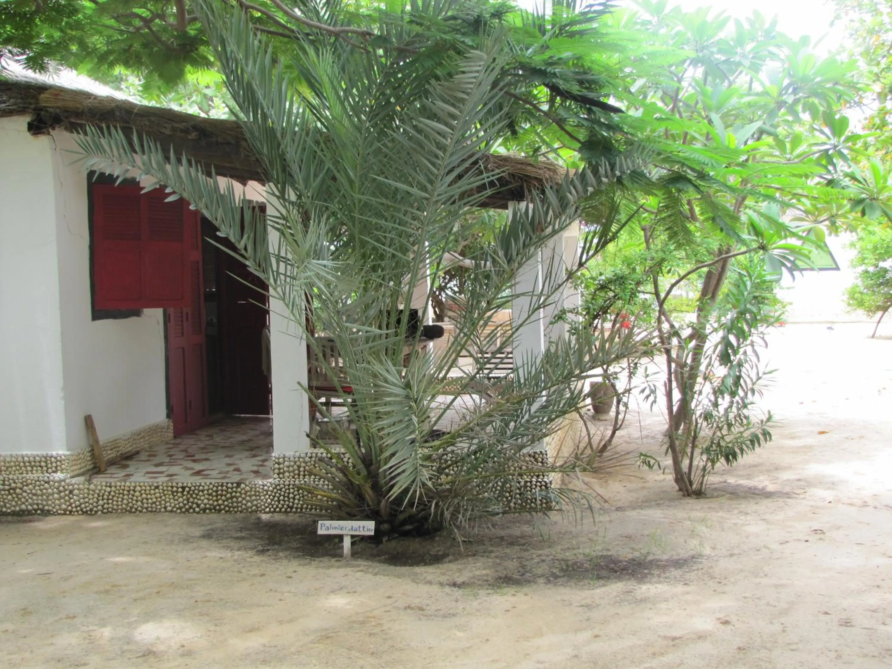View (from property/room) in Bazouk Du Saloum Ecolodge Solidaire