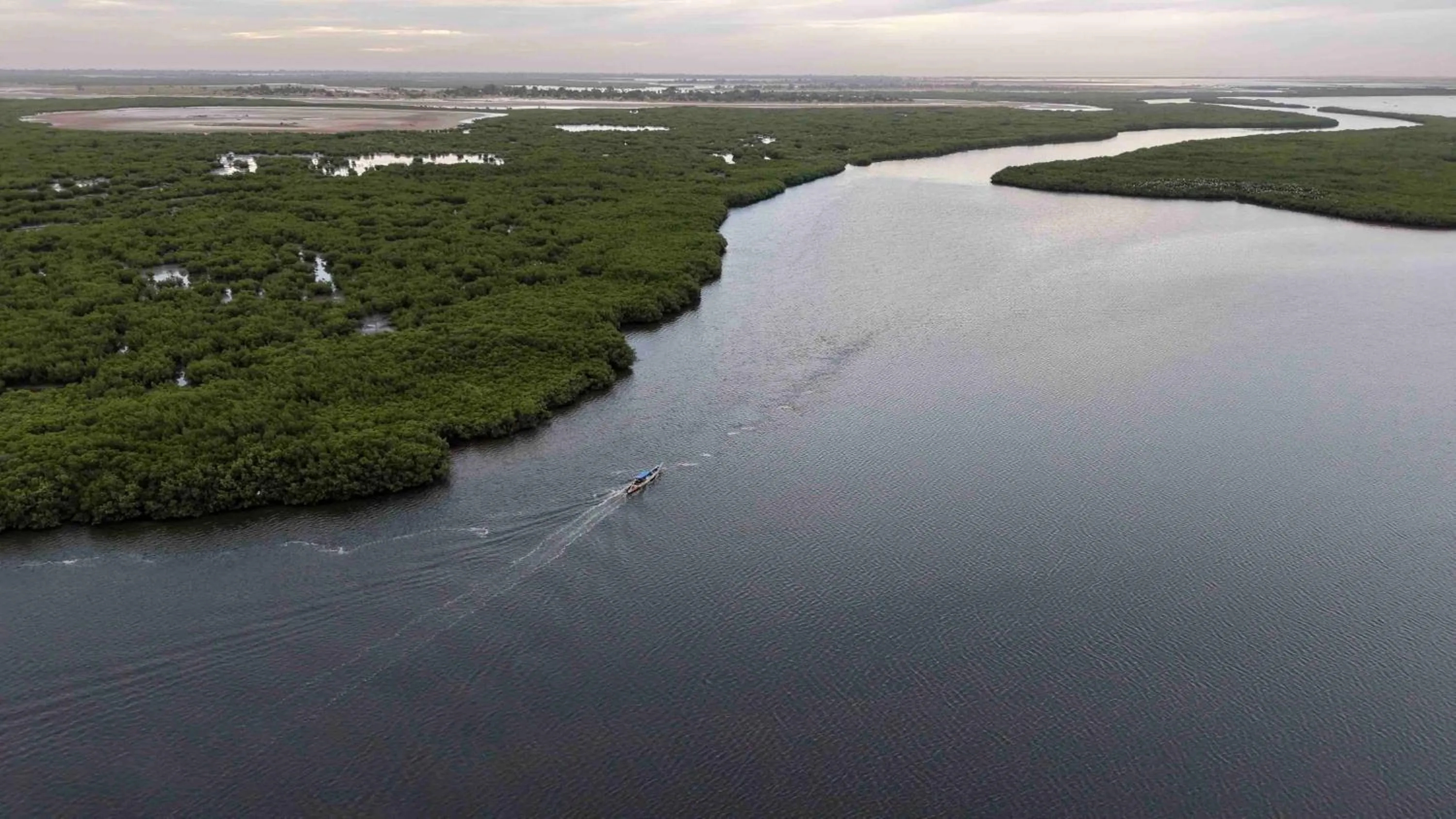 Bazouk Du Saloum Ecolodge Solidaire