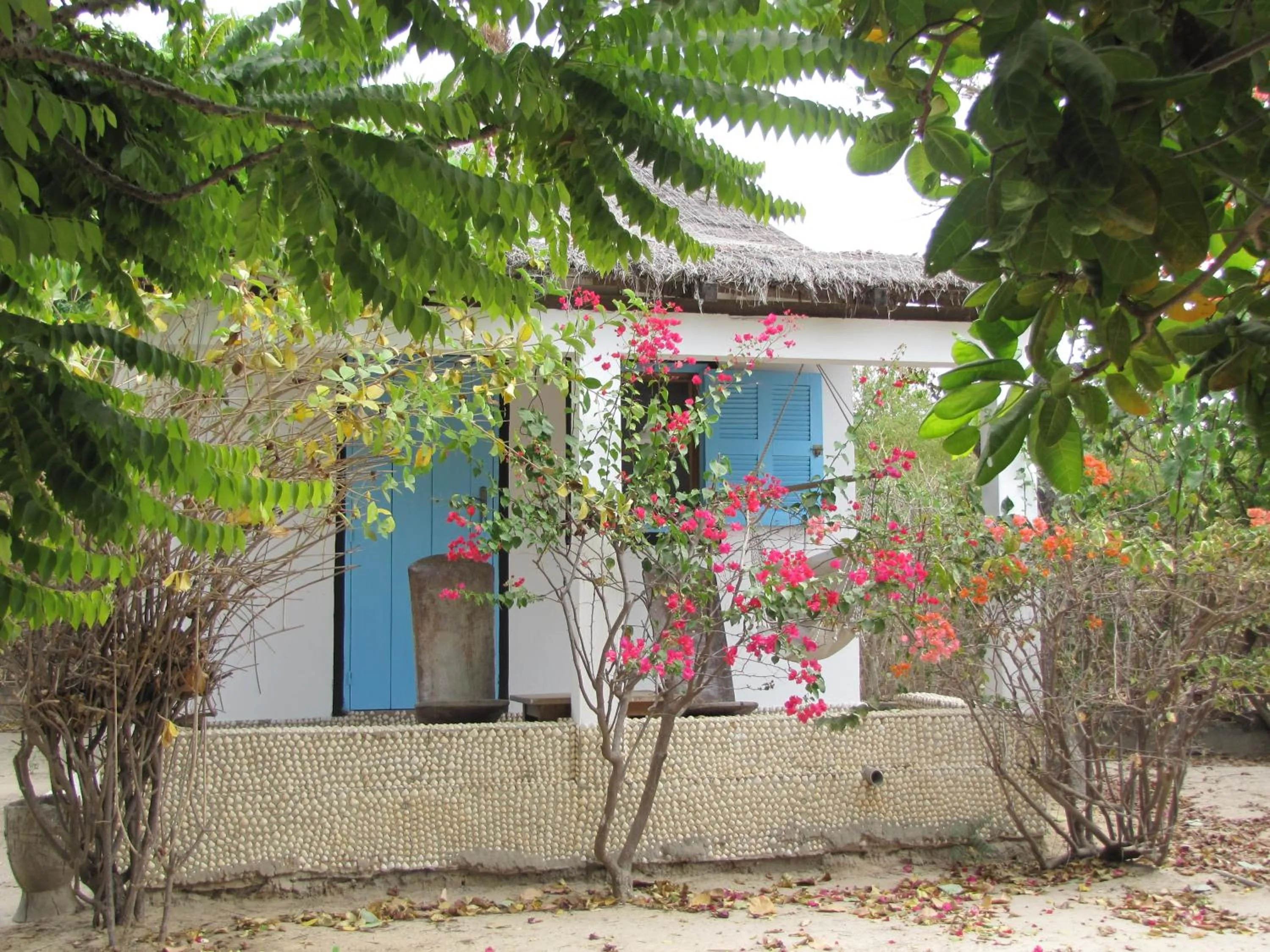View (from property/room) in Bazouk Du Saloum Ecolodge Solidaire