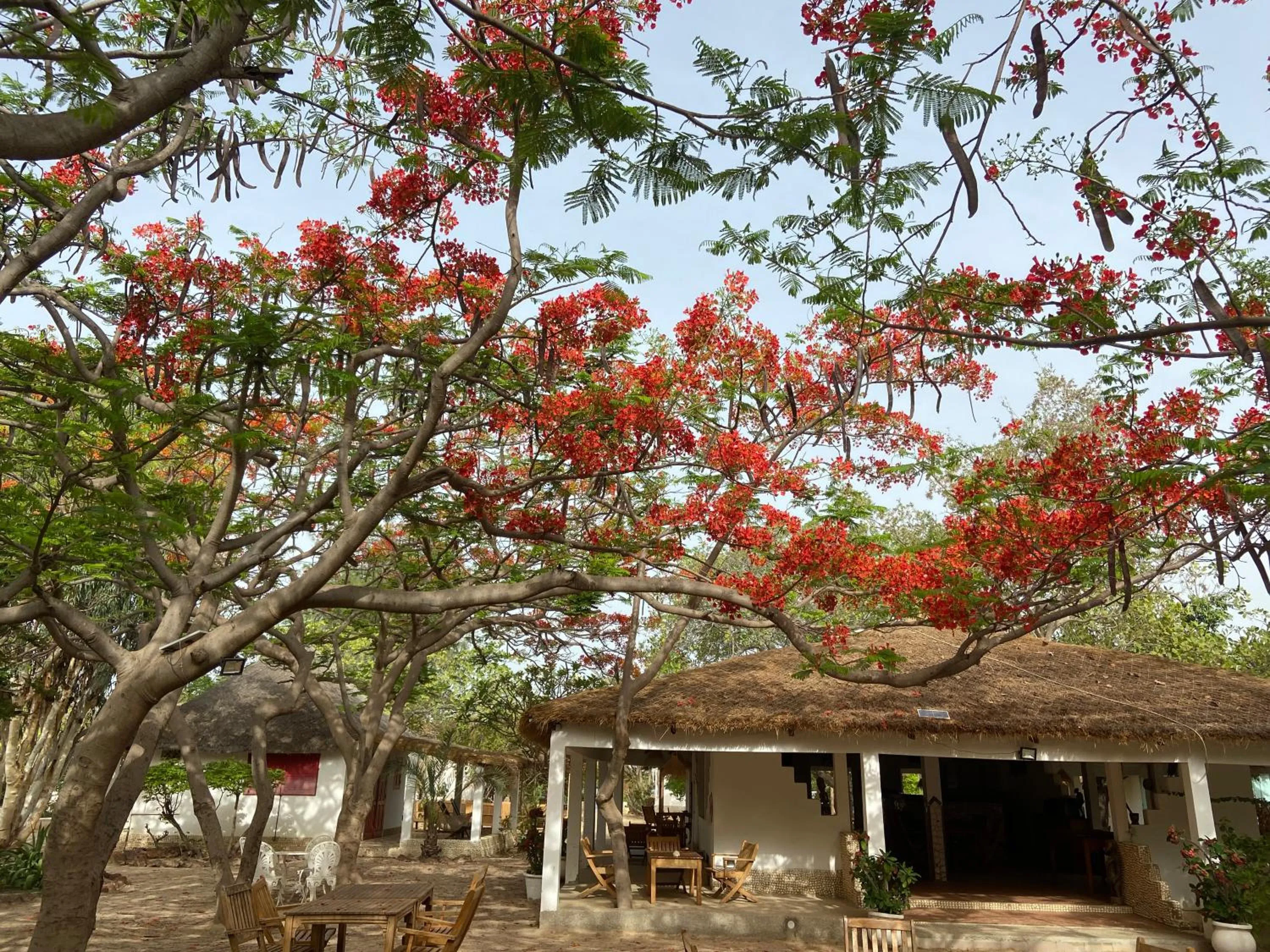 Bazouk Du Saloum Ecolodge Solidaire