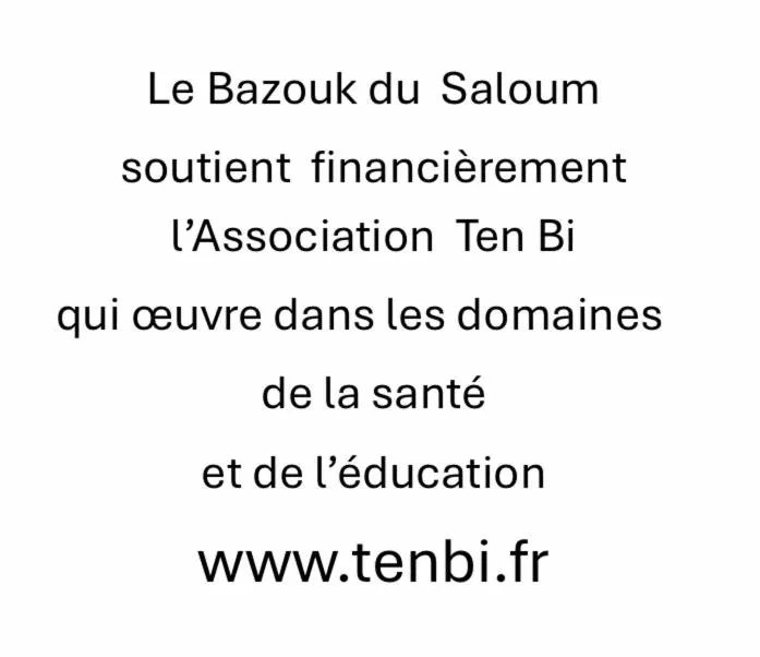 Bazouk Du Saloum Ecolodge Solidaire