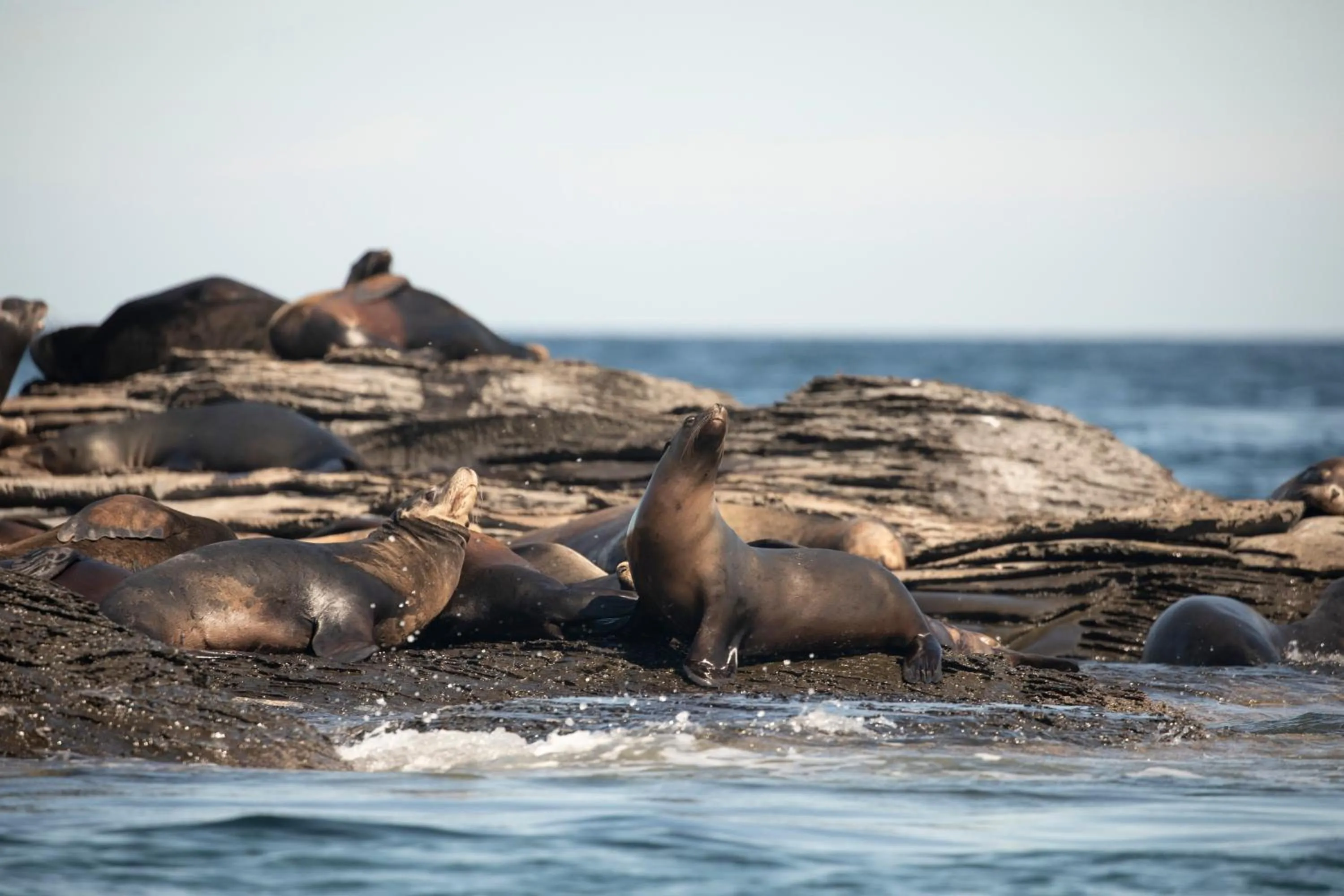 Activities in Casa 1880 - Adults Only