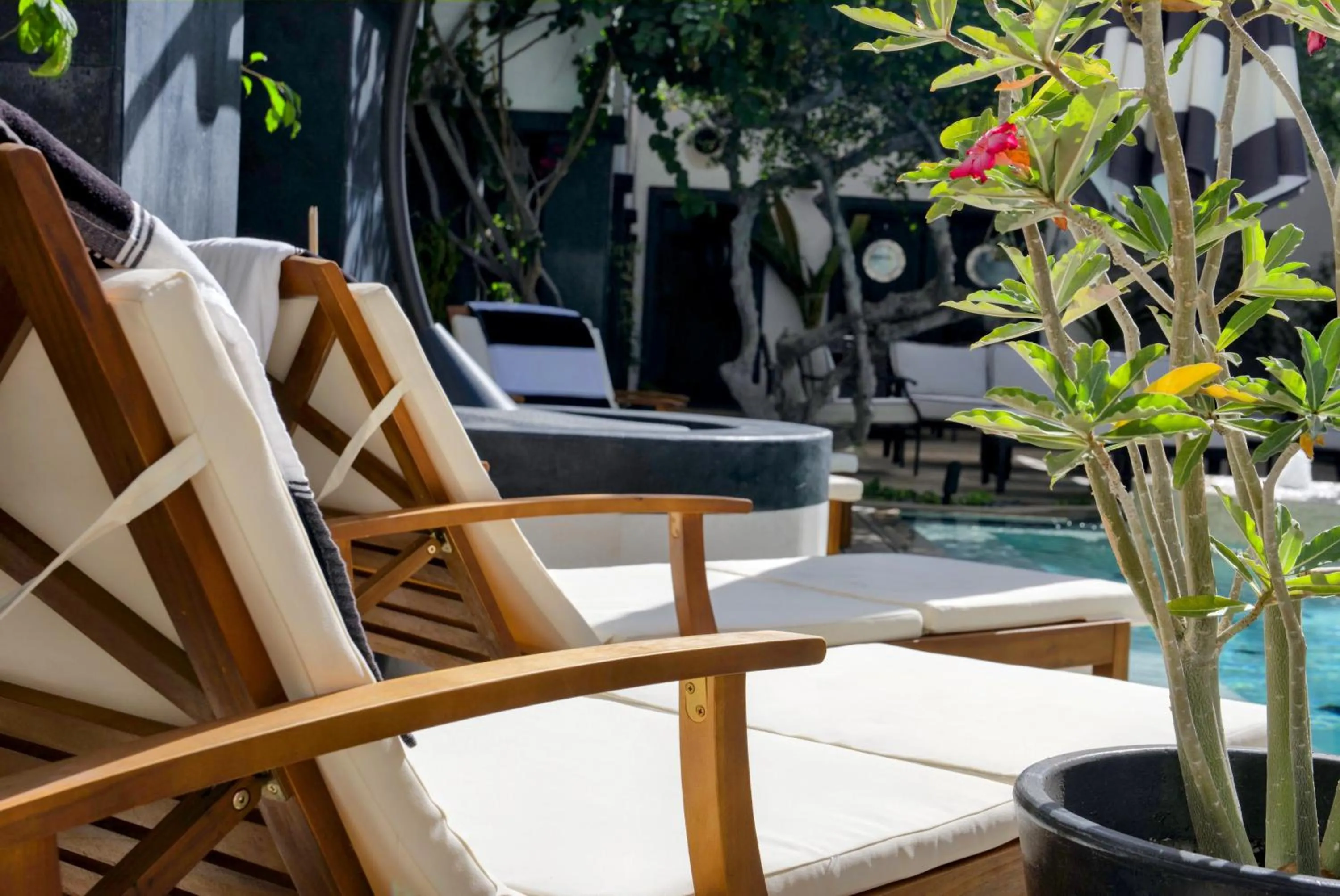 Patio in Casa 1880 - Adults Only