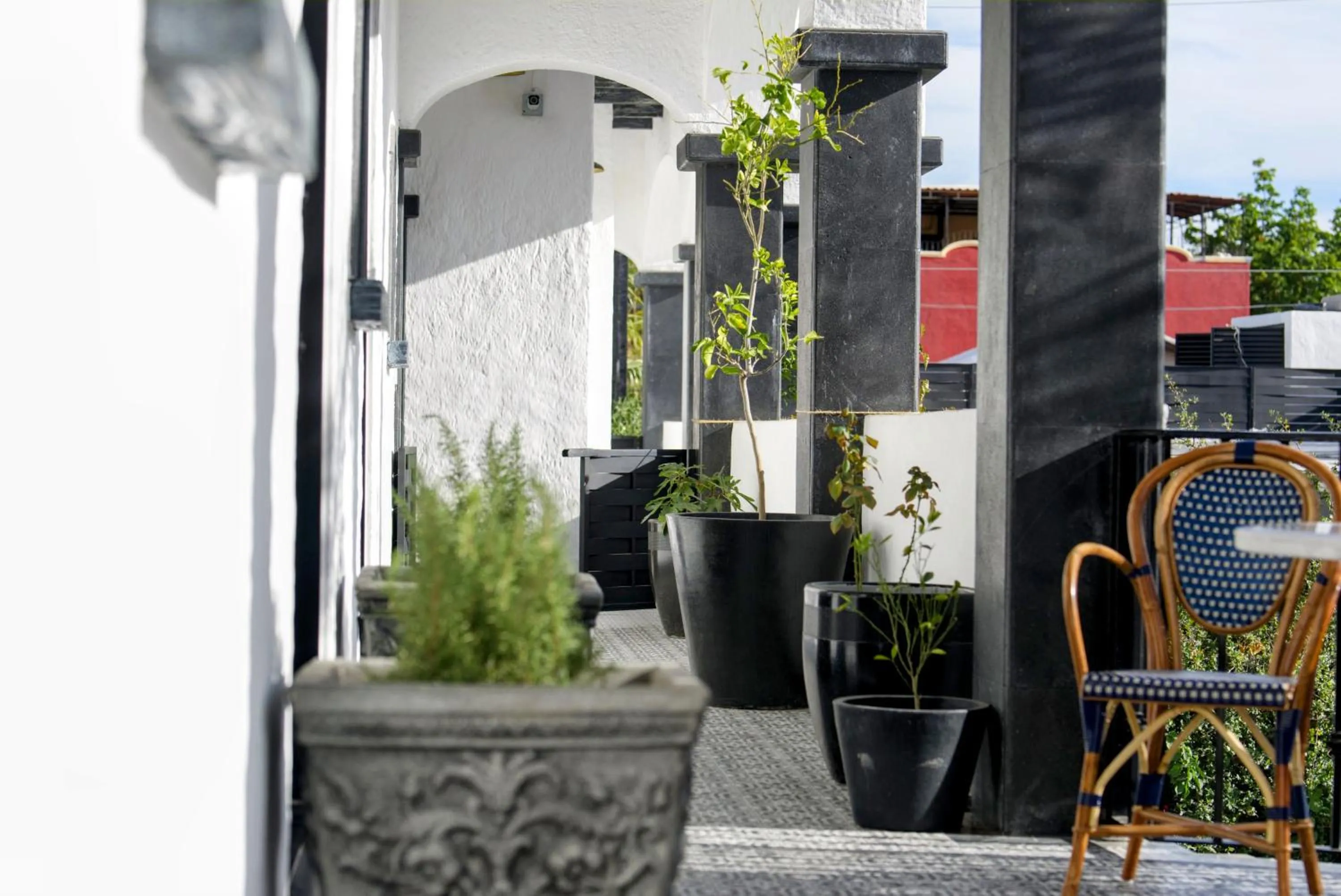 Day in Casa 1880 - Adults Only