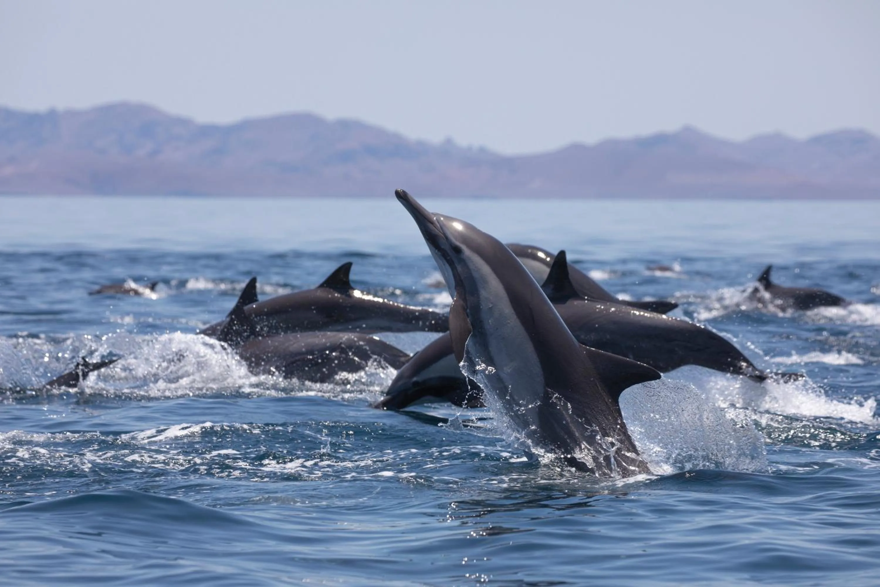 Activities in Casa 1880 - Adults Only