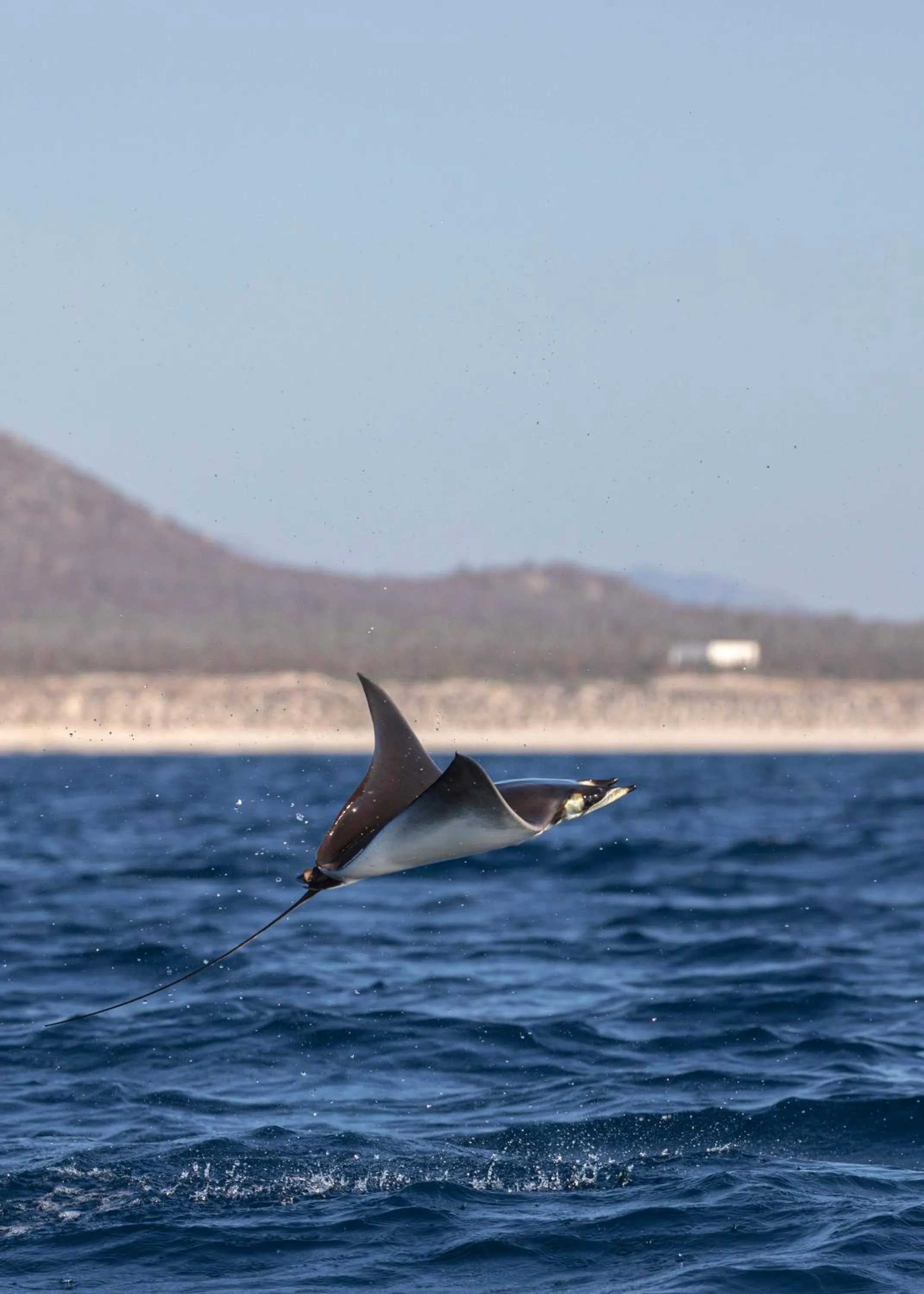 Activities in Casa 1880 - Adults Only