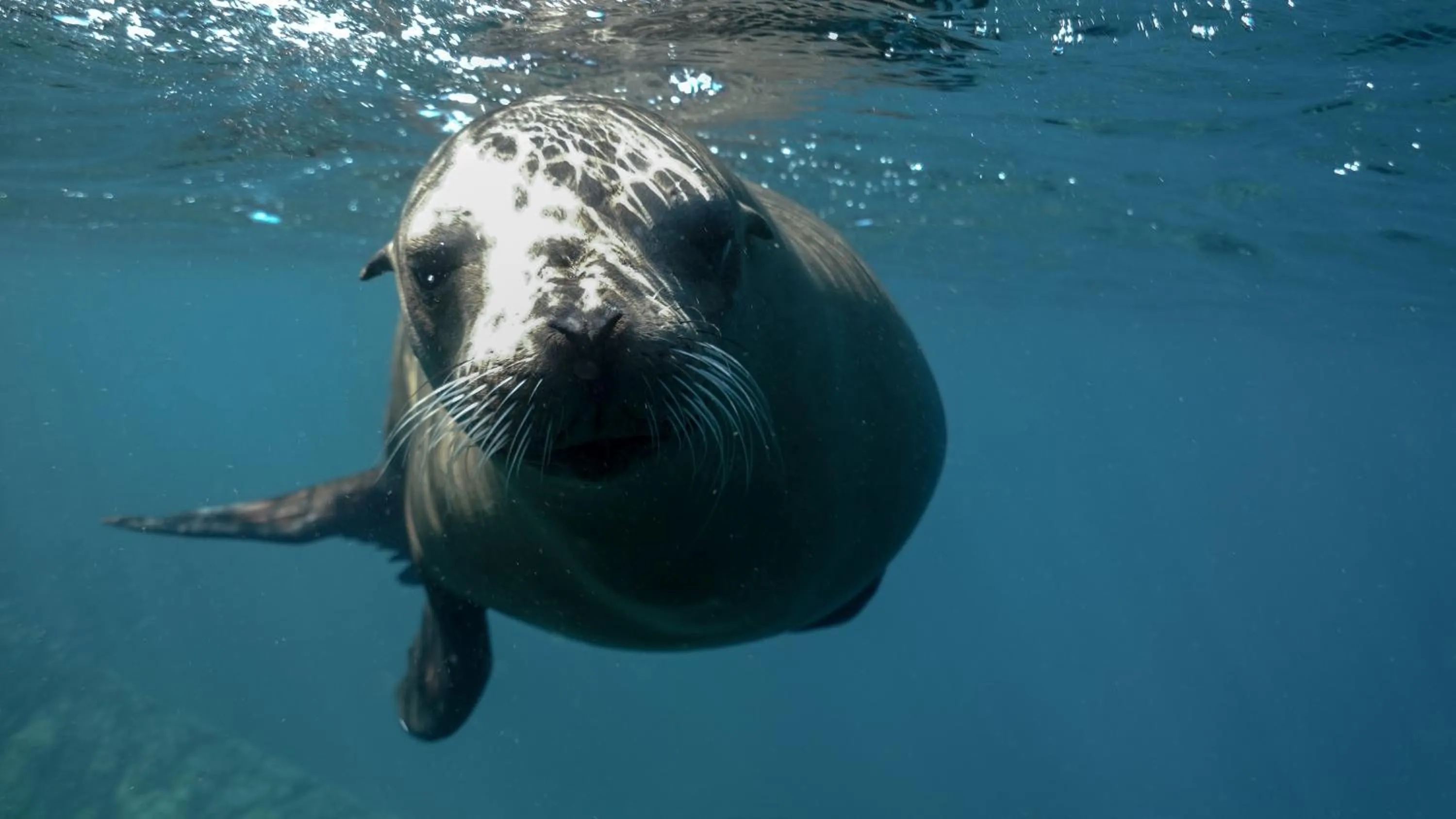 Activities in Casa 1880 - Adults Only