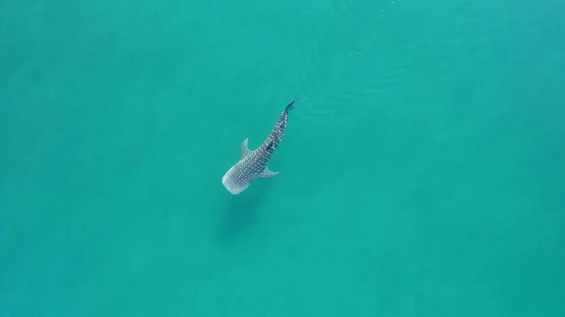 Activities in Casa 1880 - Adults Only