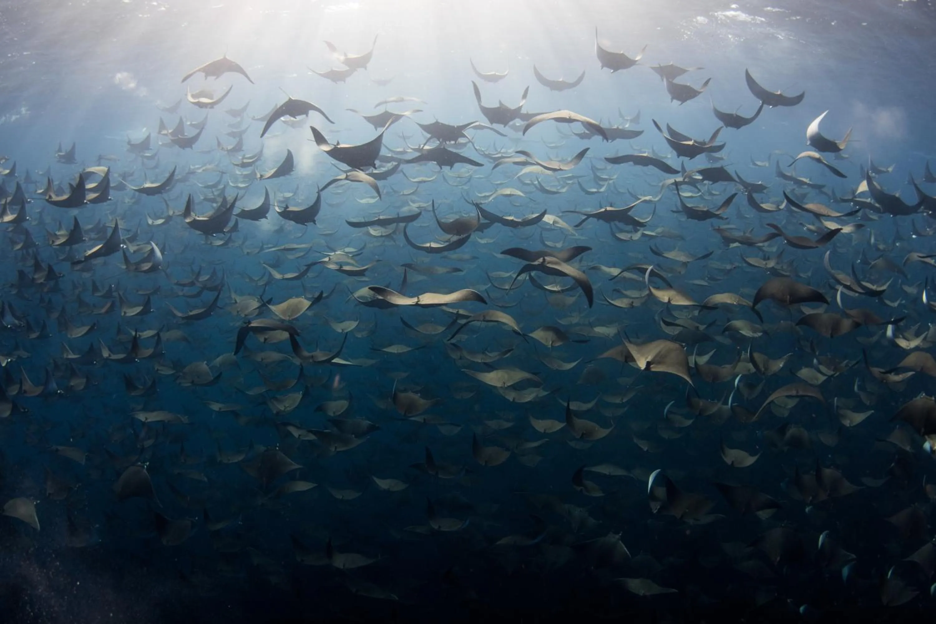 Activities in Casa 1880 - Adults Only