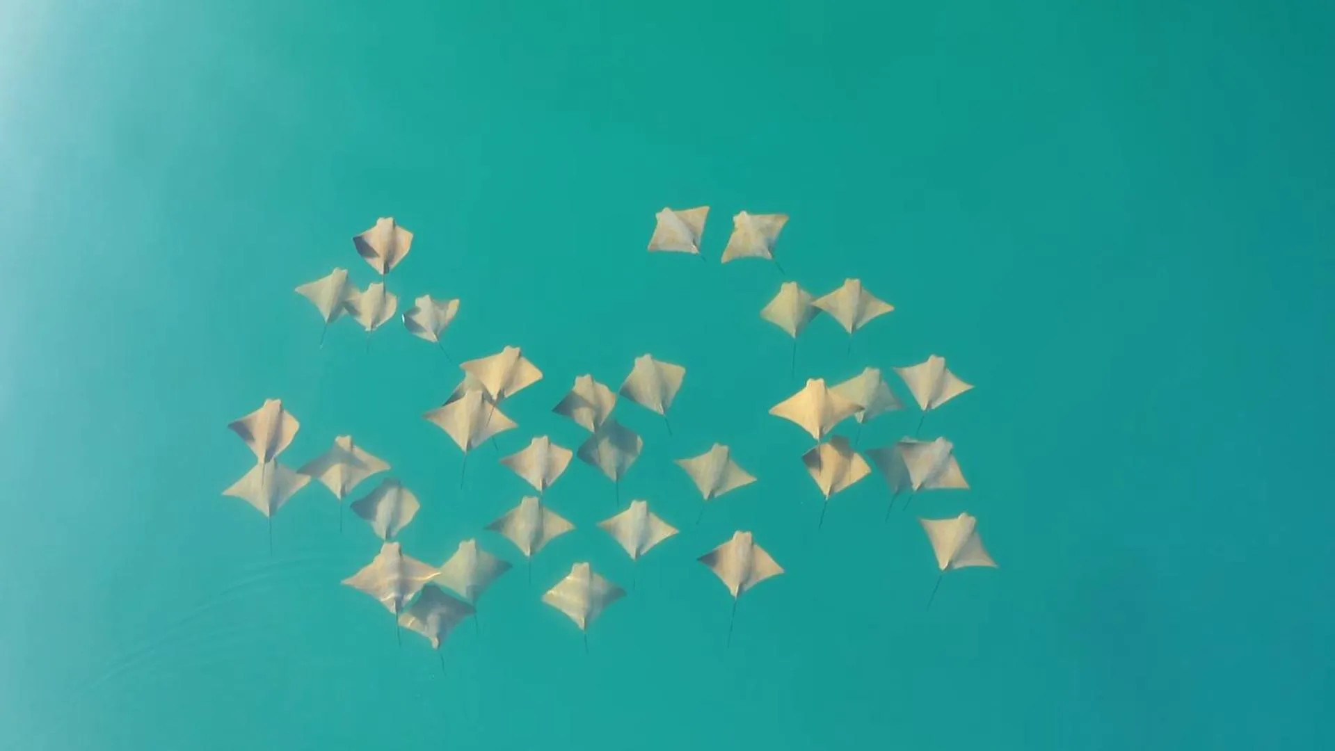 Activities in Casa 1880 - Adults Only