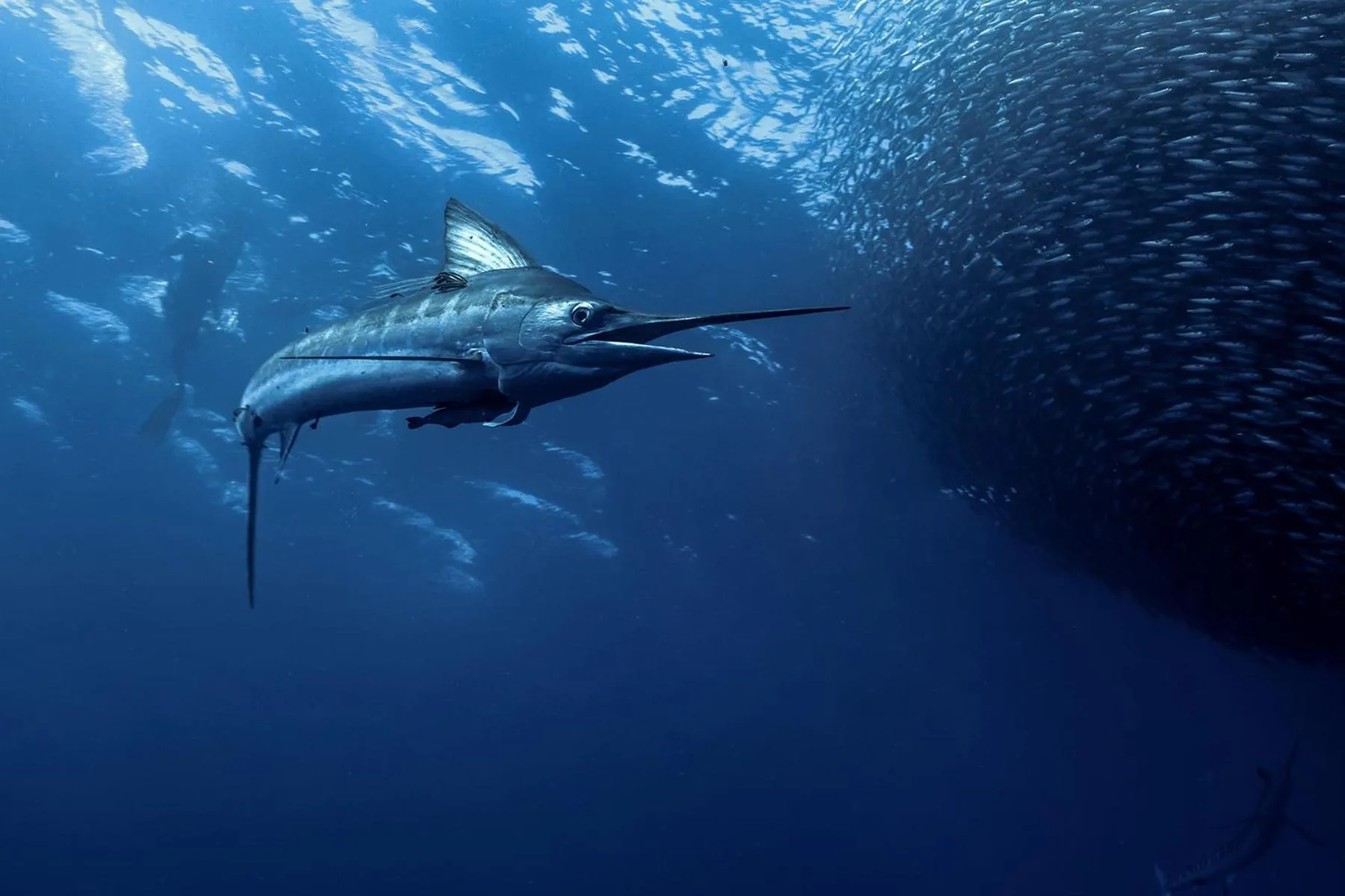 Activities in Casa 1880 - Adults Only