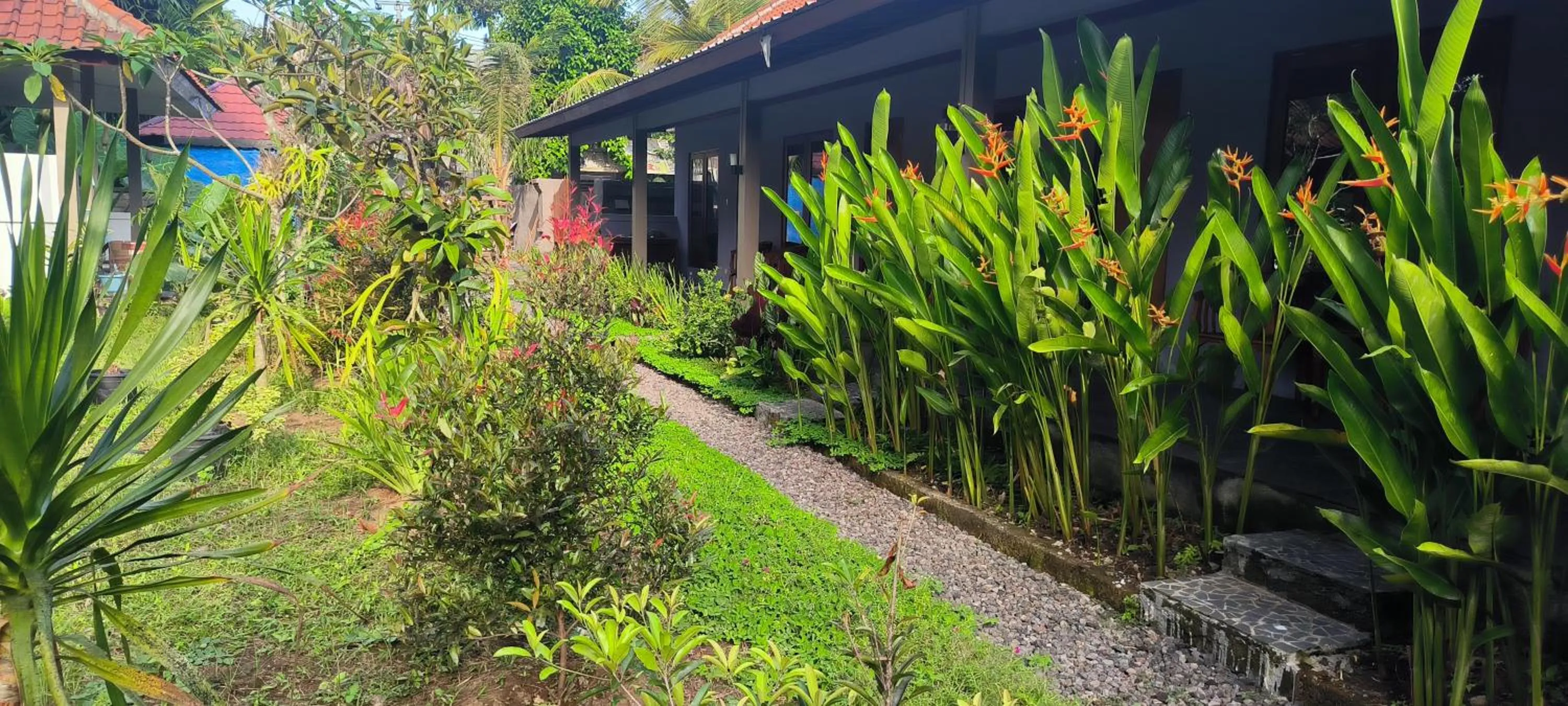 Garden in Tanggu ubud homestay