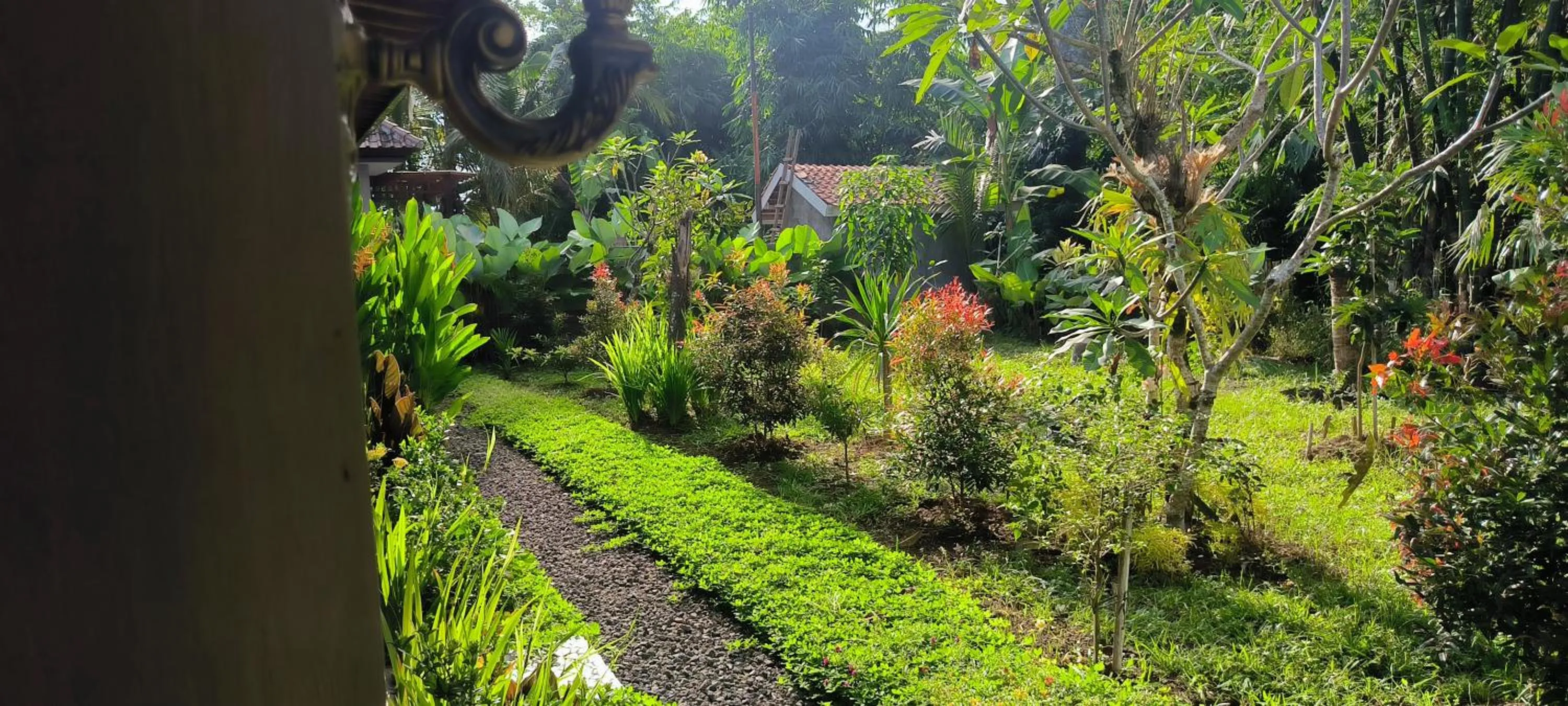Day in Tanggu ubud homestay
