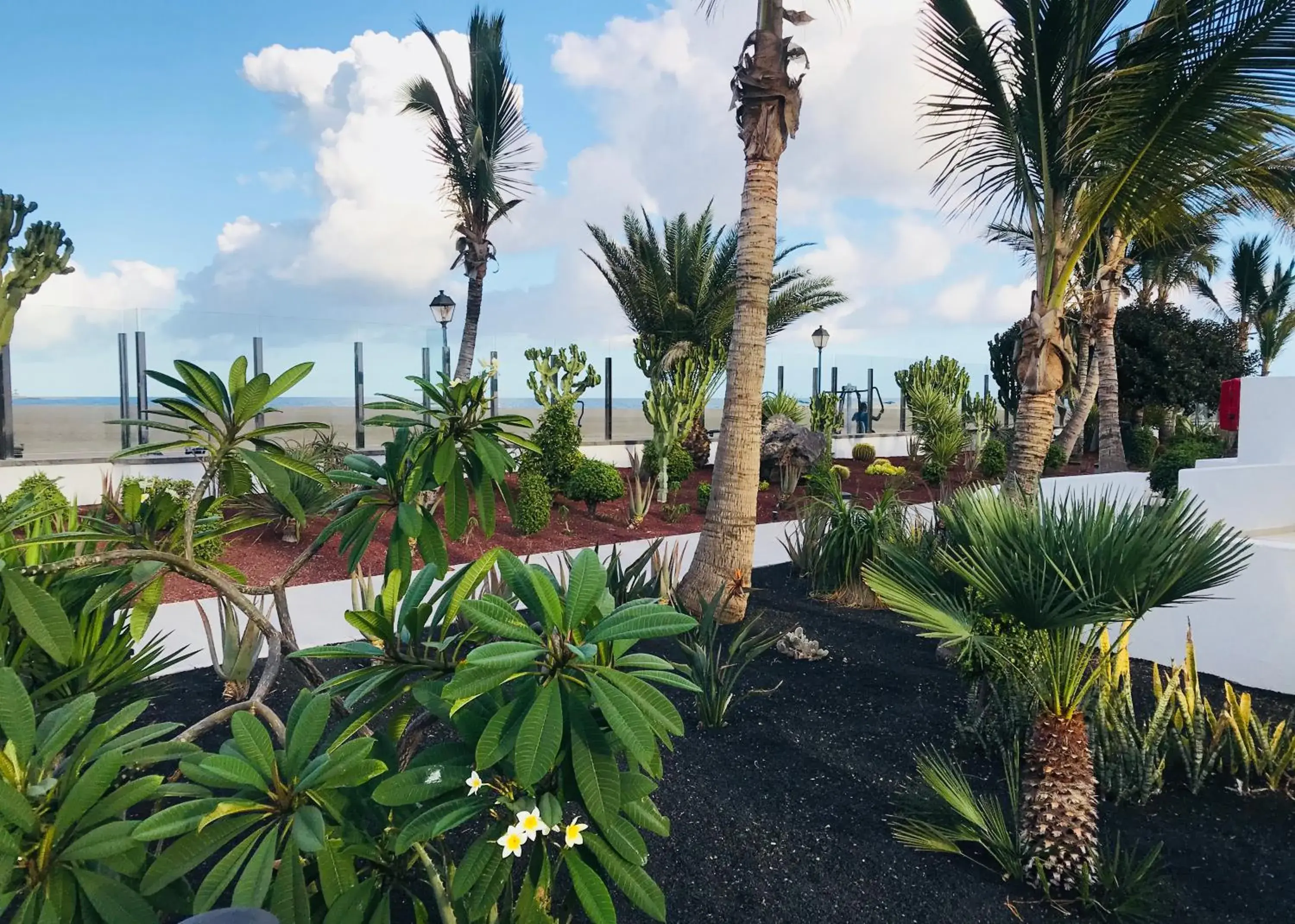 Garden view in Hotel Las Costas Garden view in Hotel Las Costas