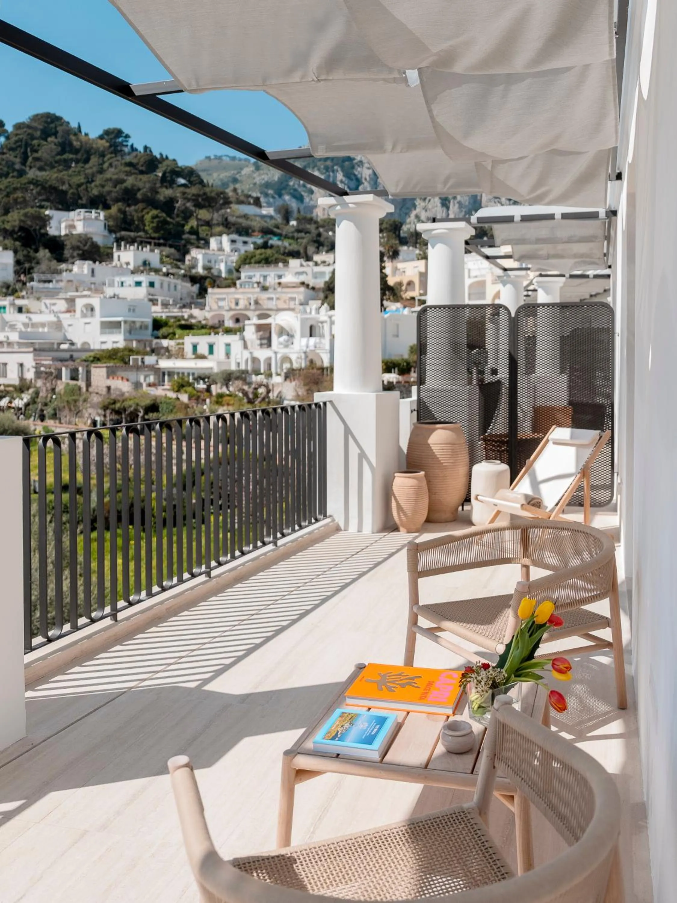 City view in Villa Certosa