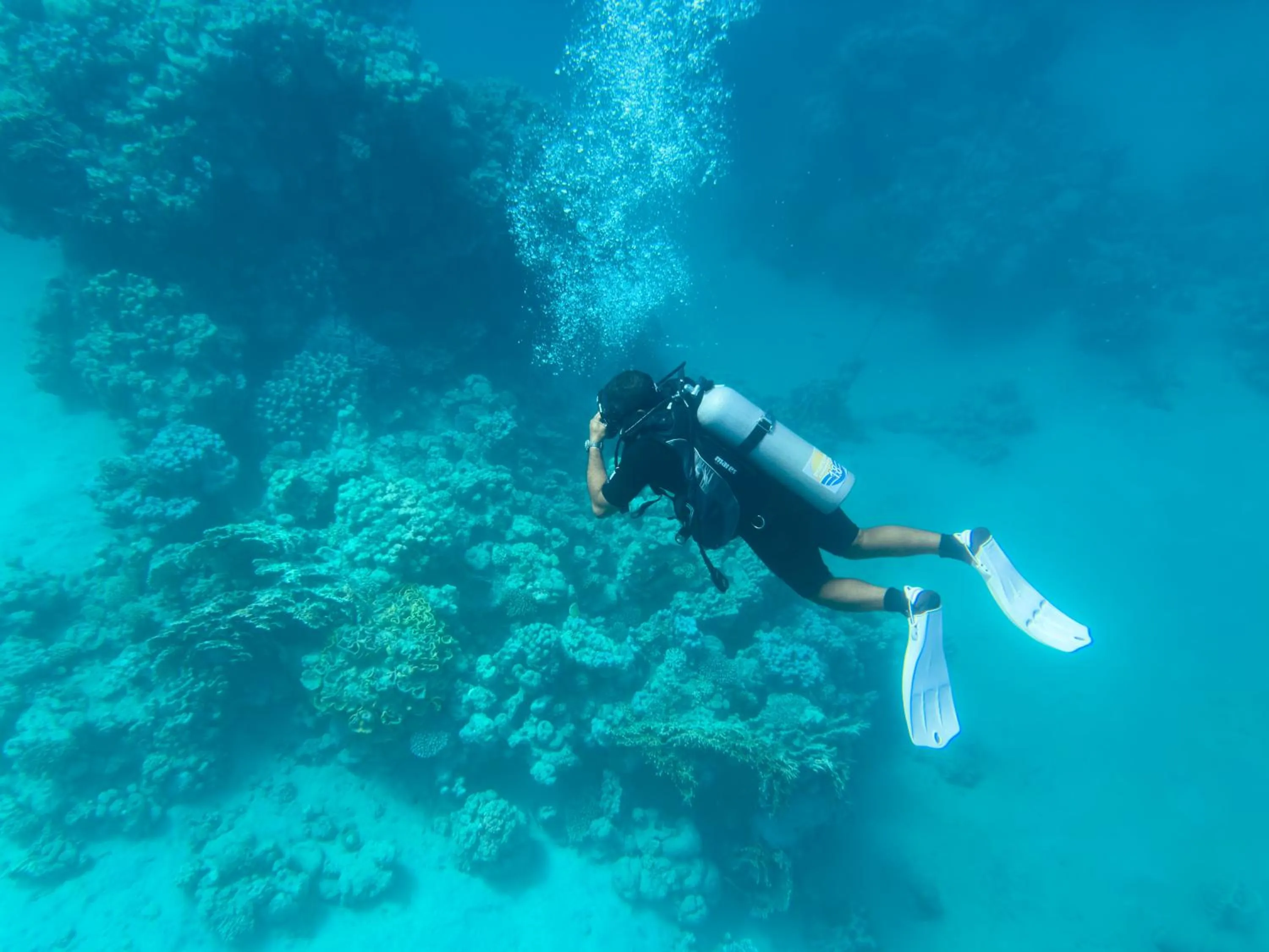 Diving in Sentido Naga Bay - Adults friendly