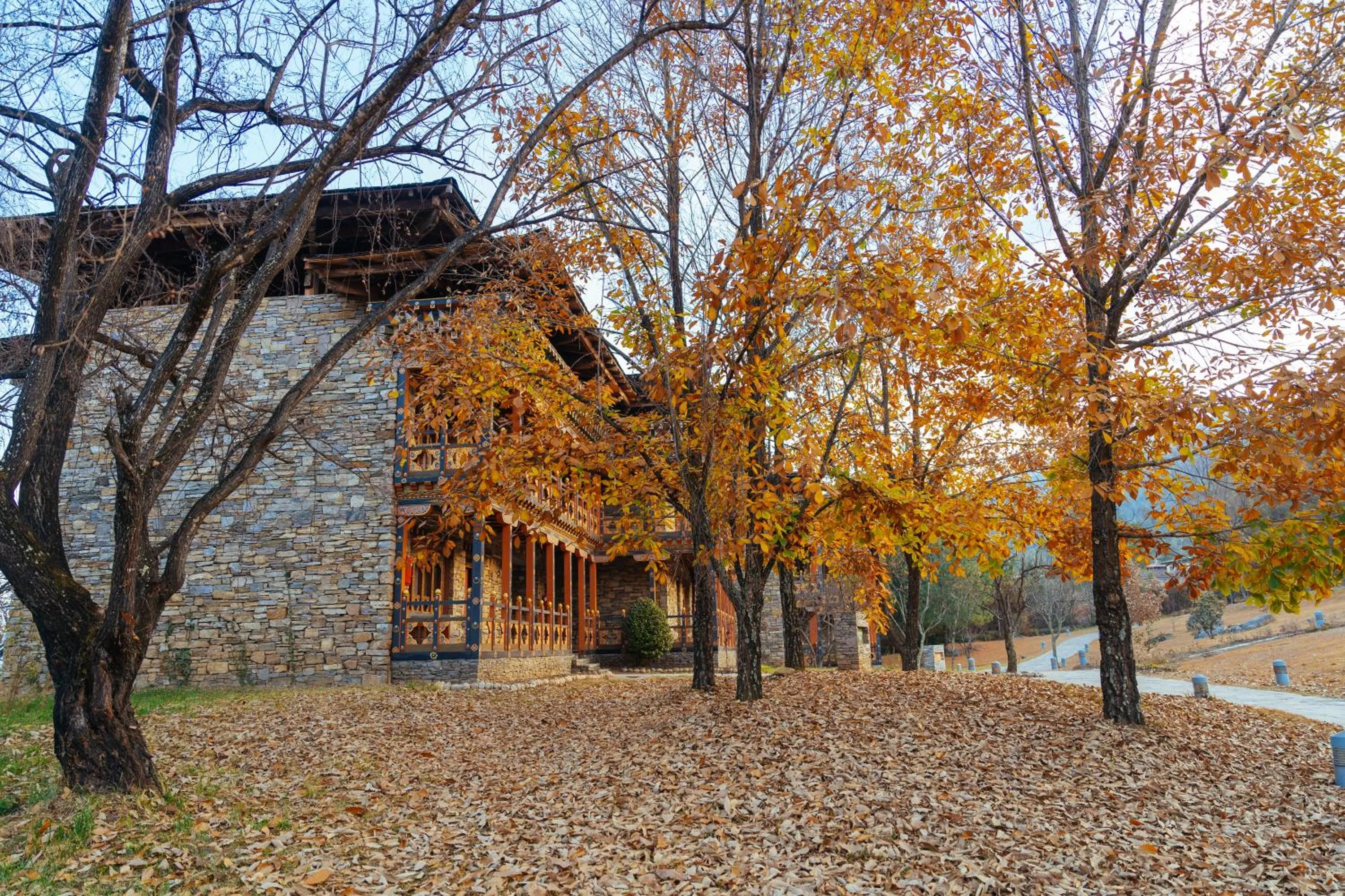 Property building in Zhiwaling Heritage
