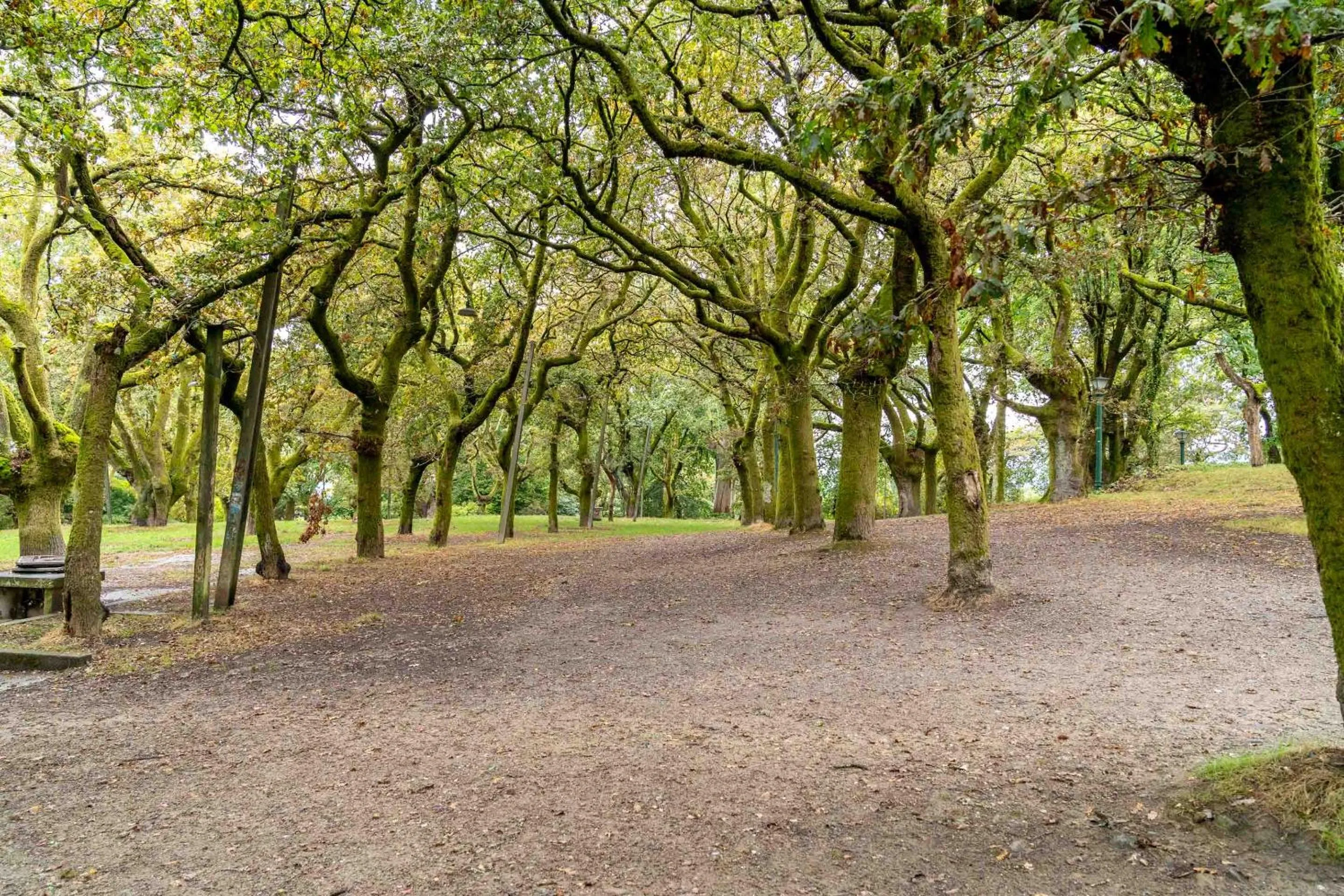Neighbourhood in Limehome Santiago de Compostela