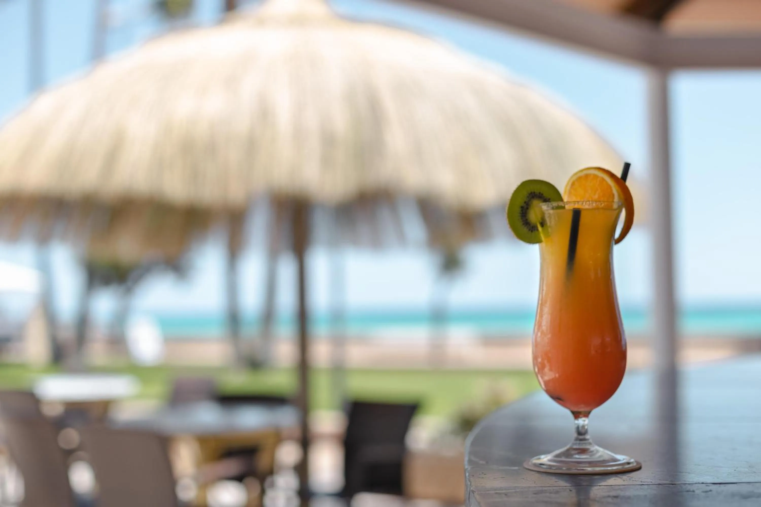 Lounge or bar in R2 Veronica